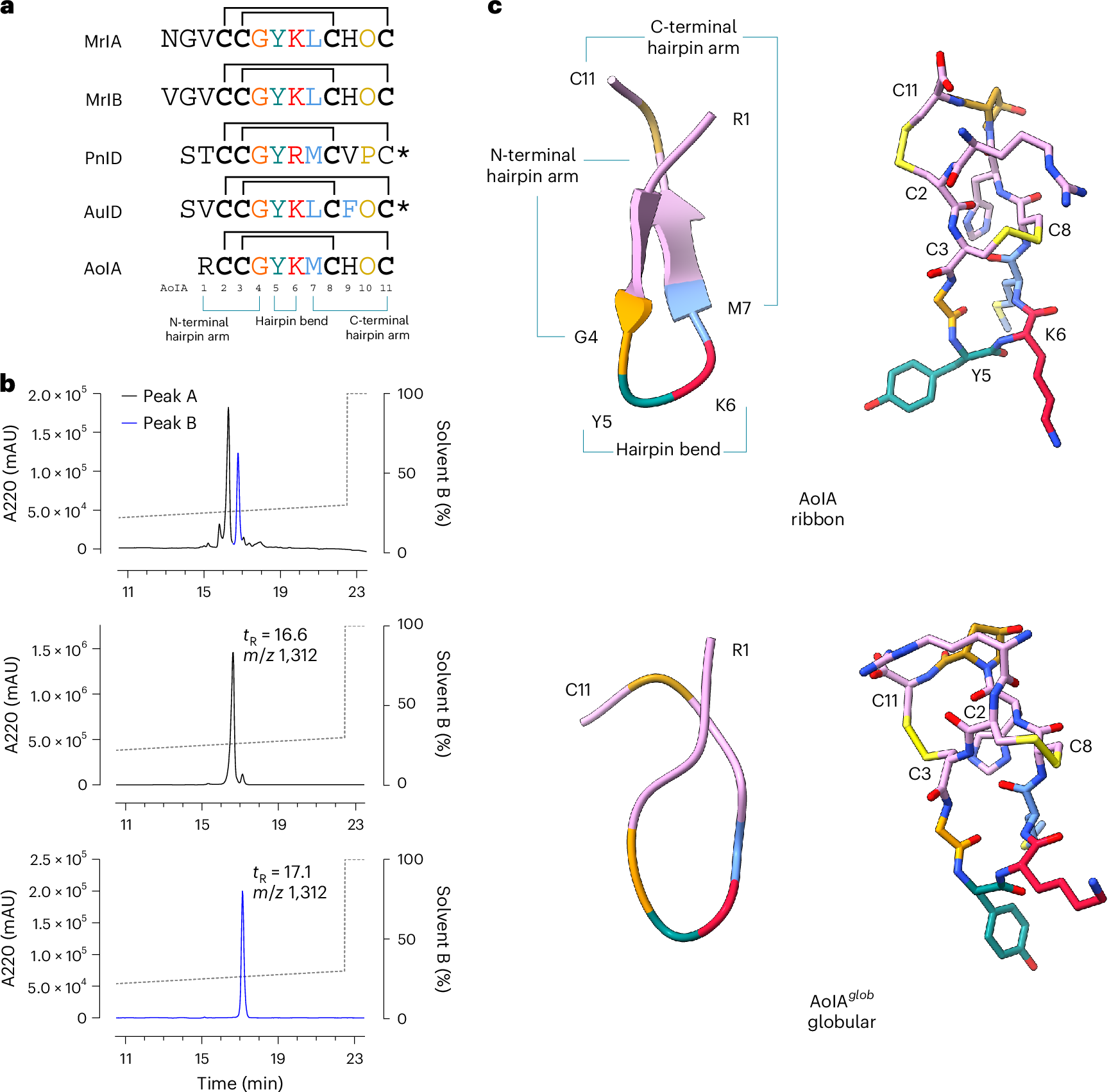 Structural and functional basis of antinociceptive action of χ-conotoxin AoIA at the noradrenaline transporter