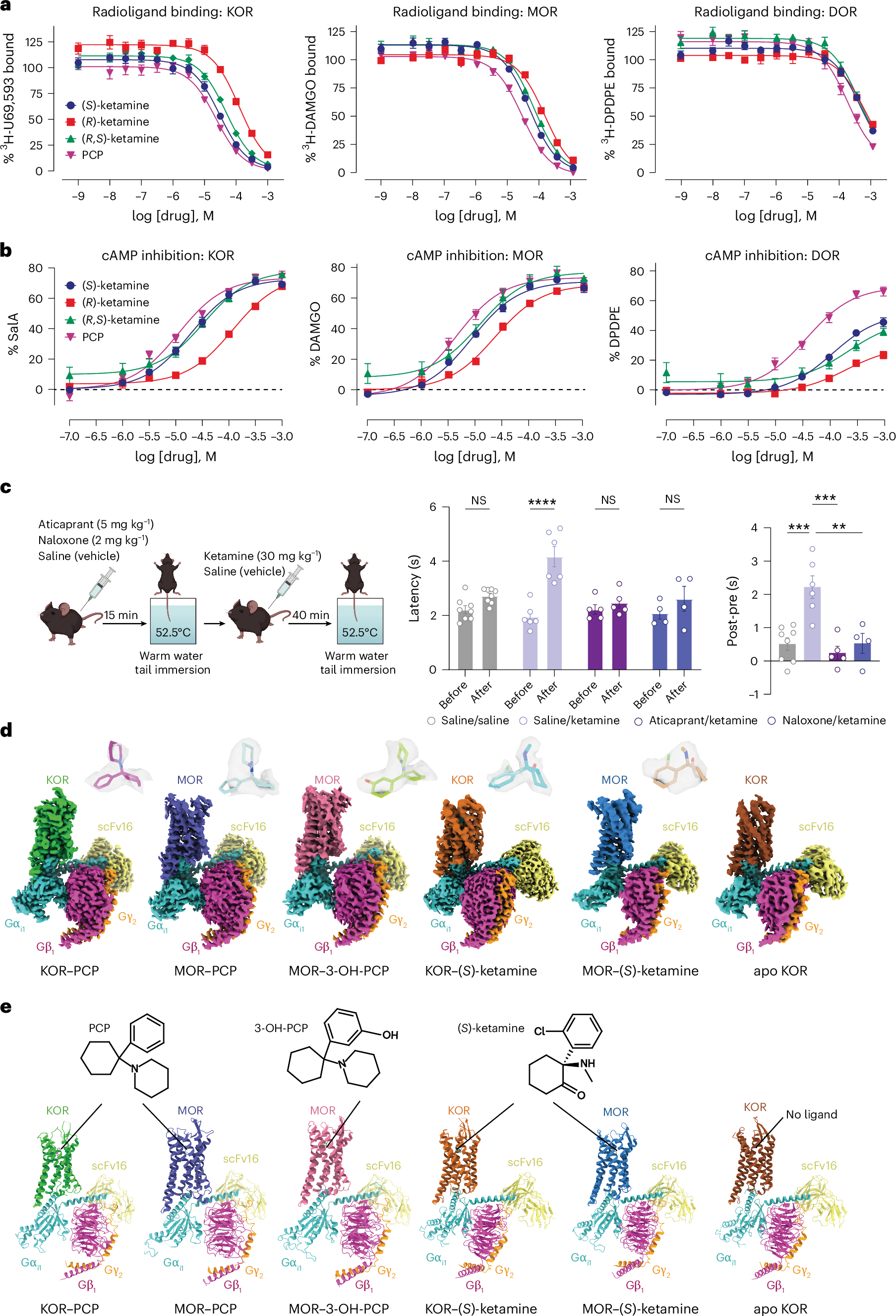 Structural basis of opioid receptor activation by PCP and ketamine