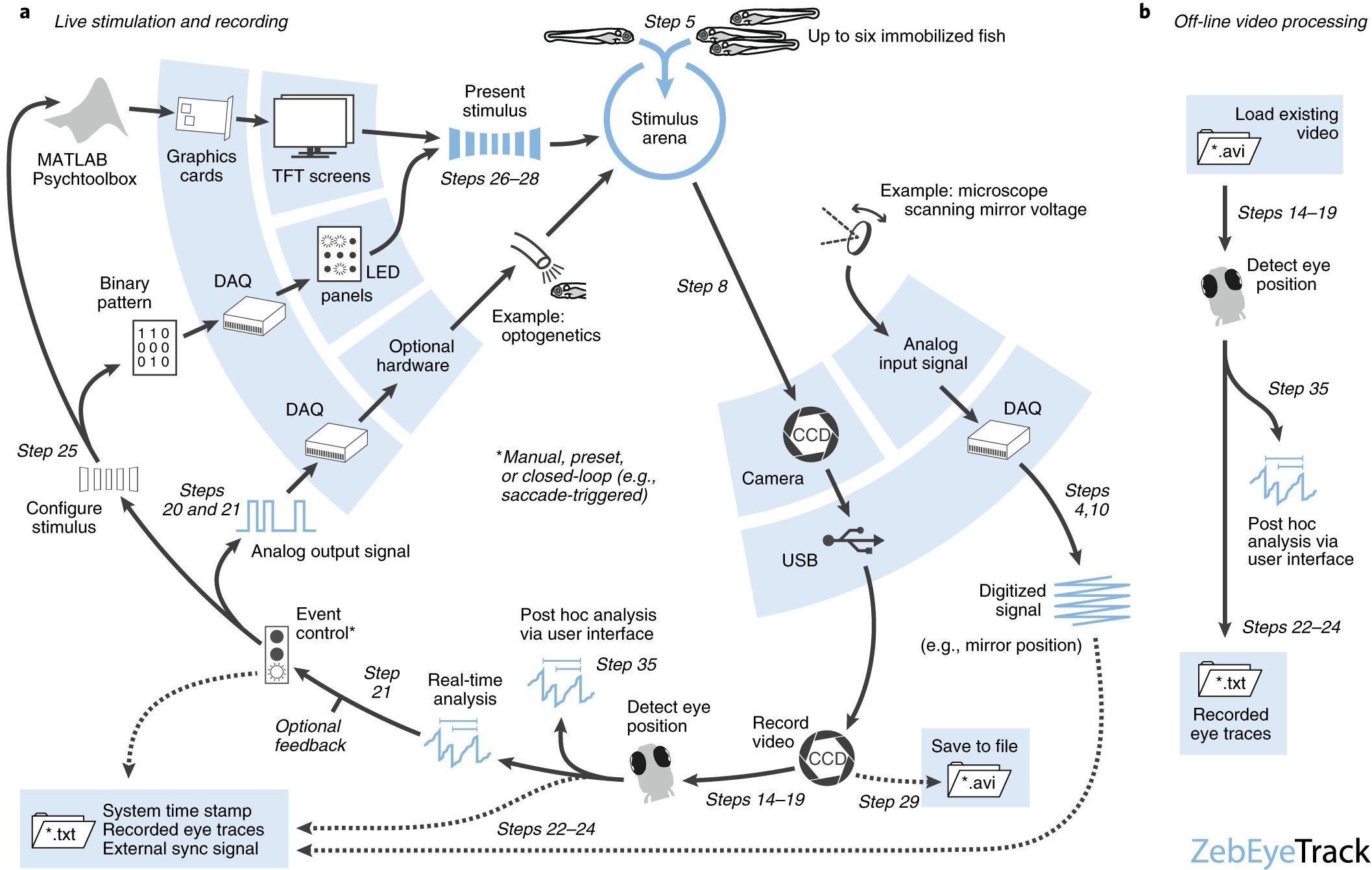 evoking and tracking zebrafish eye movement in multiple larvae with