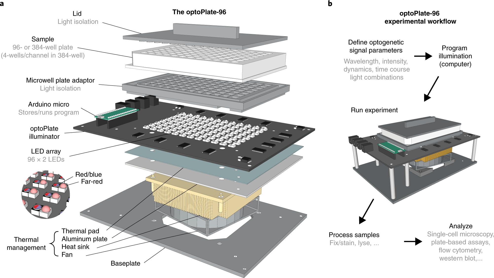 High Throughput Multicolor Optogenetics In Microwell Plates