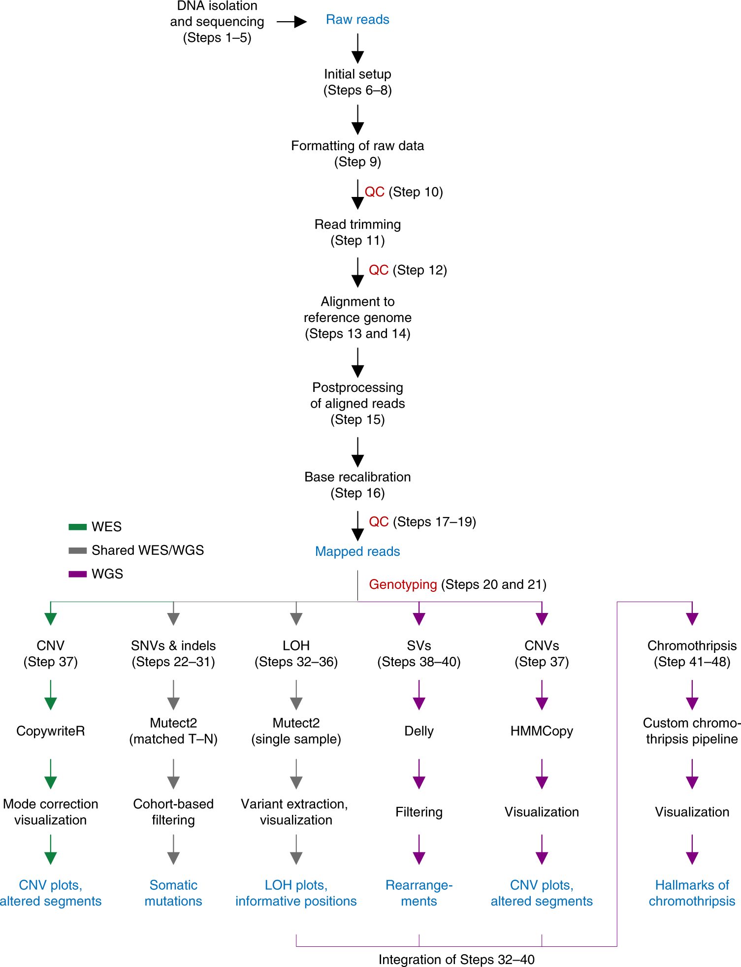 Analysis pipelines for cancer genome sequencing in mice | Nature Protocols