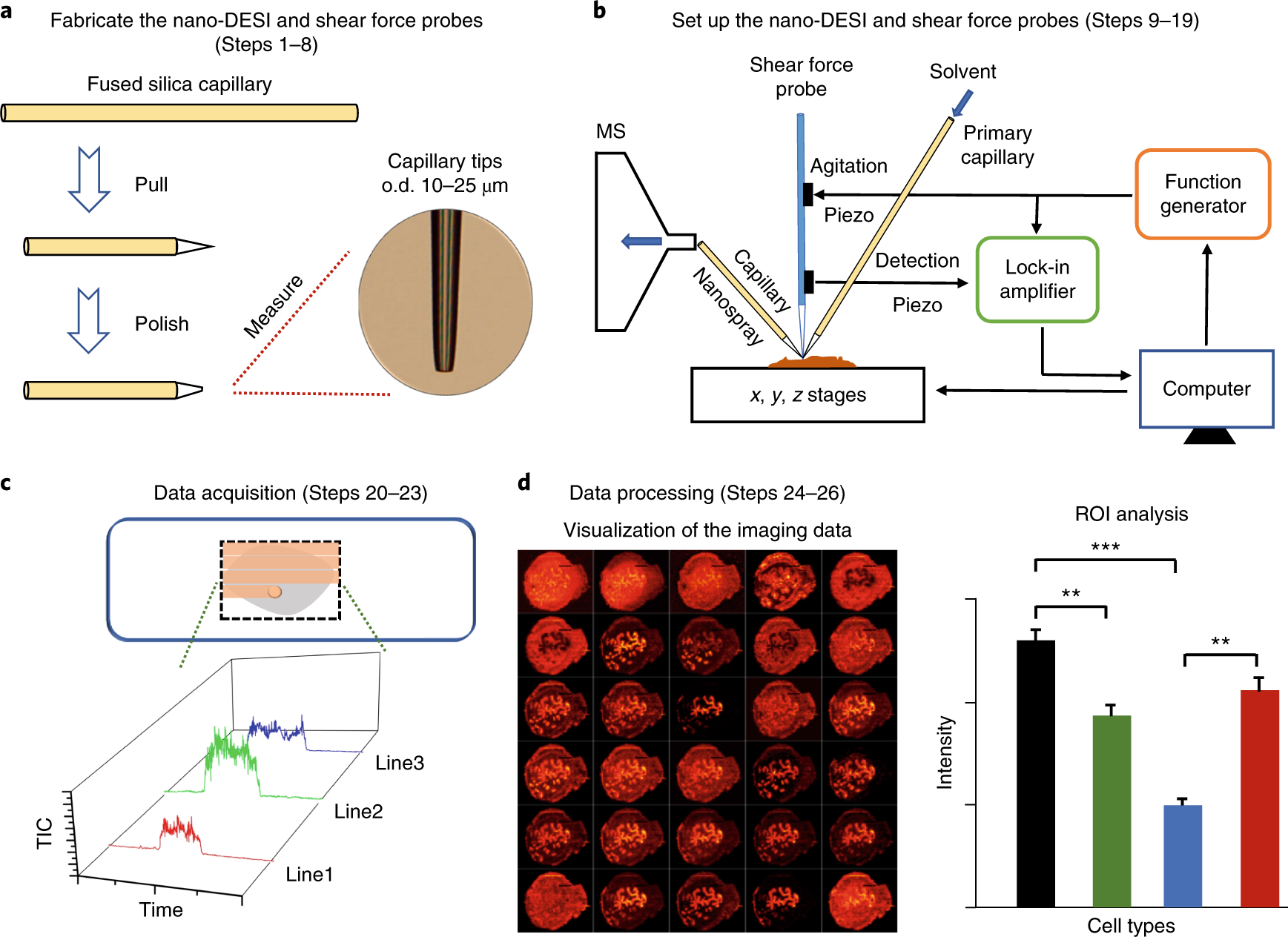 High spatial resolution imaging of biological tissues using nanospray  desorption electrospray ionization mass spectrometry | Nature Protocols
