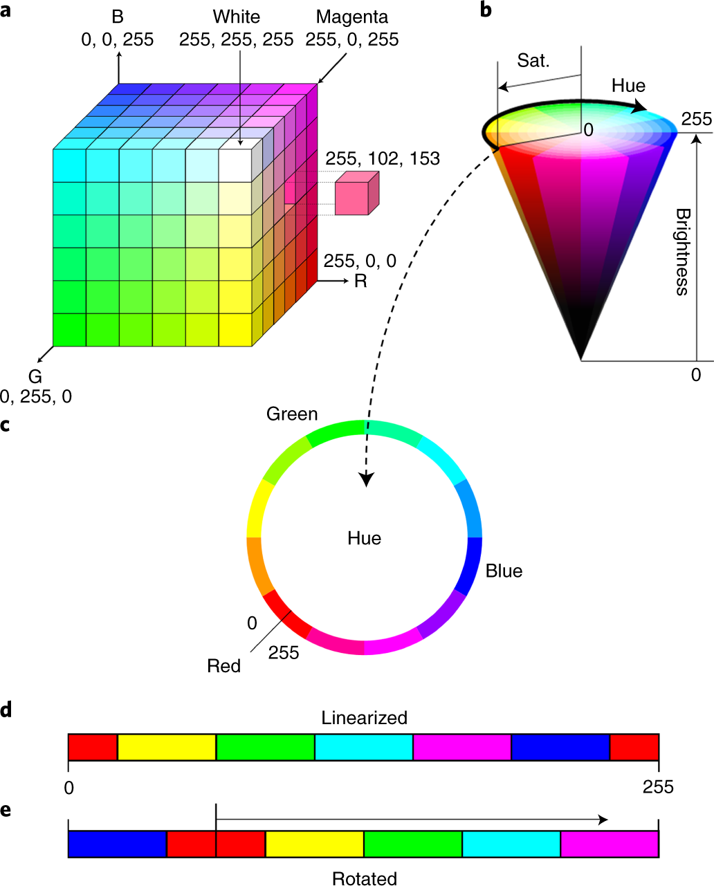 Digital postprocessing and image segmentation for objective analysis of  colorimetric reactions | Nature Protocols