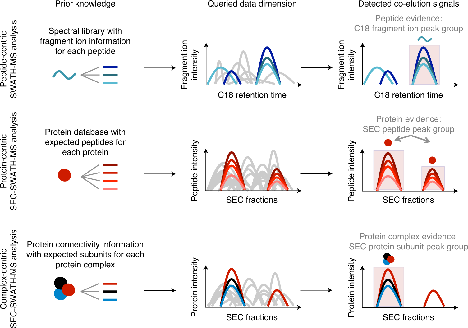Complex-centric proteome profiling by SEC-SWATH-MS for the parallel  detection of hundreds of protein complexes | Nature Protocols