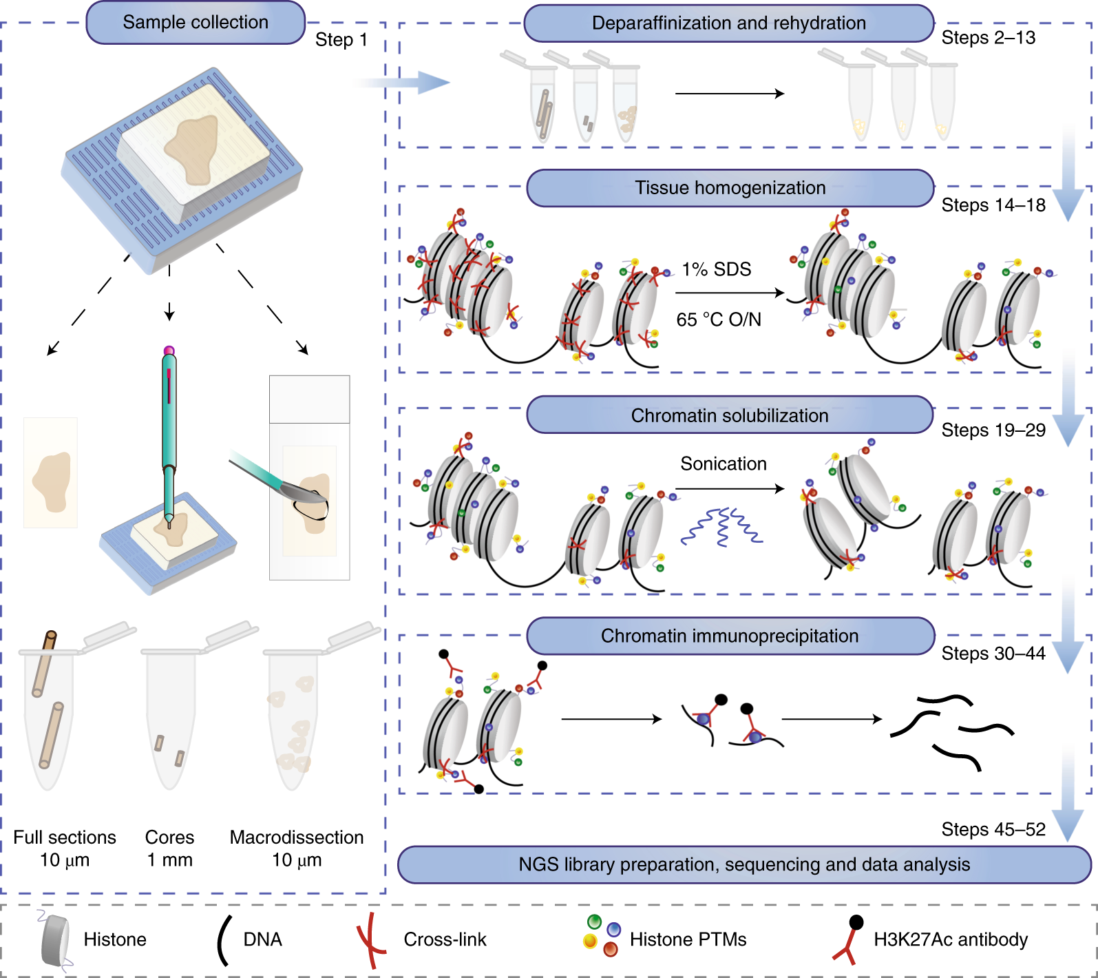 Rescuing Inhibited Samples with the ForenSeq Enhanced Buffer System, ePCR1