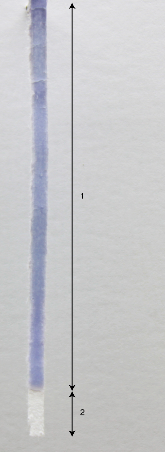 Rapid 30 Second Equipment Free Purification Of Nucleic Acids Using Easy To Make Dipsticks Nature Protocols