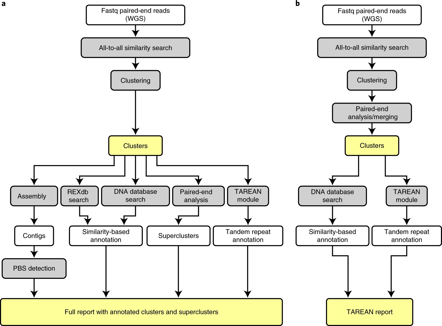 Global Analysis Of Repetitive Dna From Unassembled Sequence Reads Using Repeatexplorer2 Nature Protocols