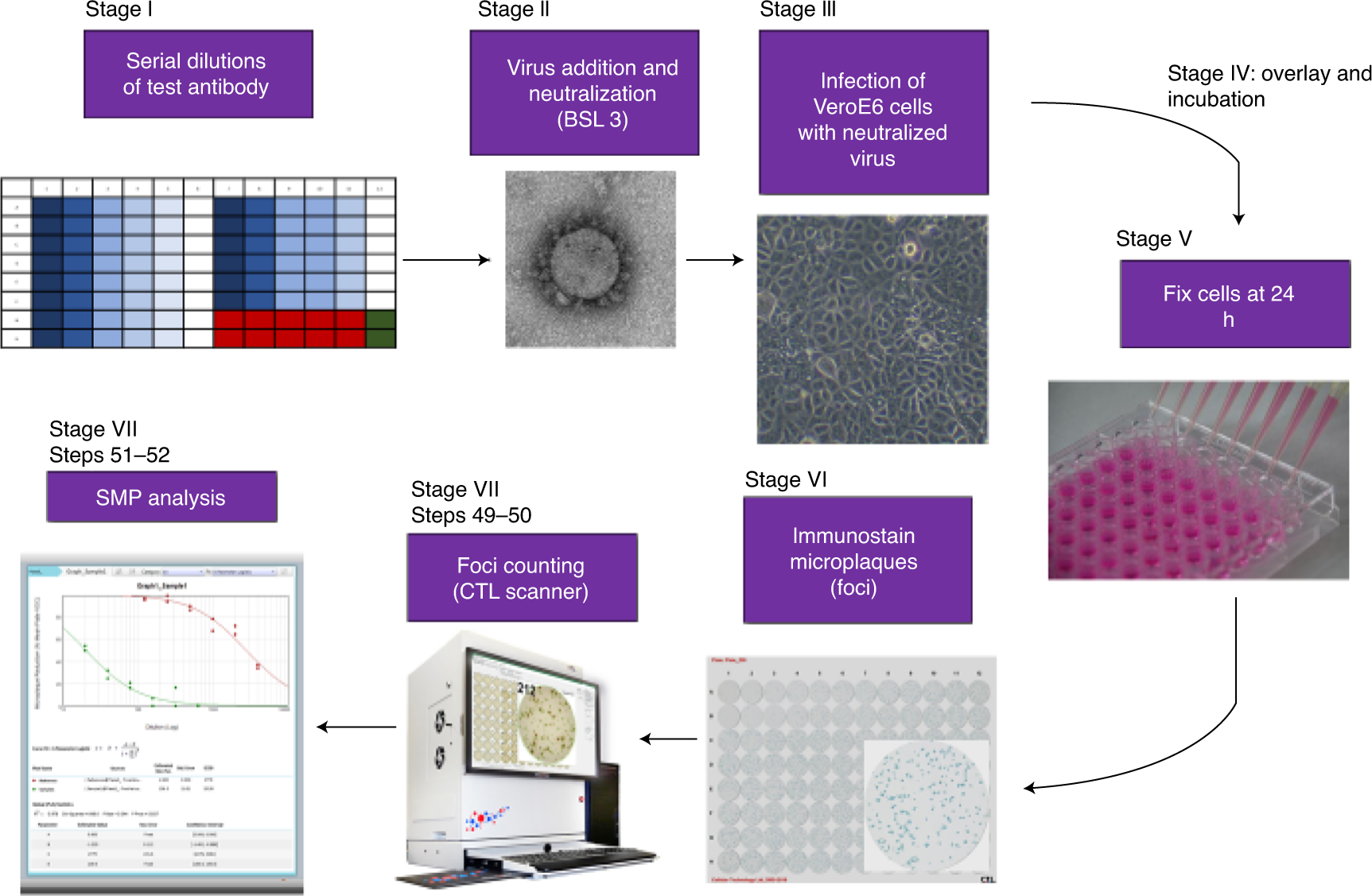 Quantification of SARS-CoV-2 neutralizing antibody by wild-type plaque  reduction neutralization, microneutralization and pseudotyped virus  neutralization assays | Nature Protocols