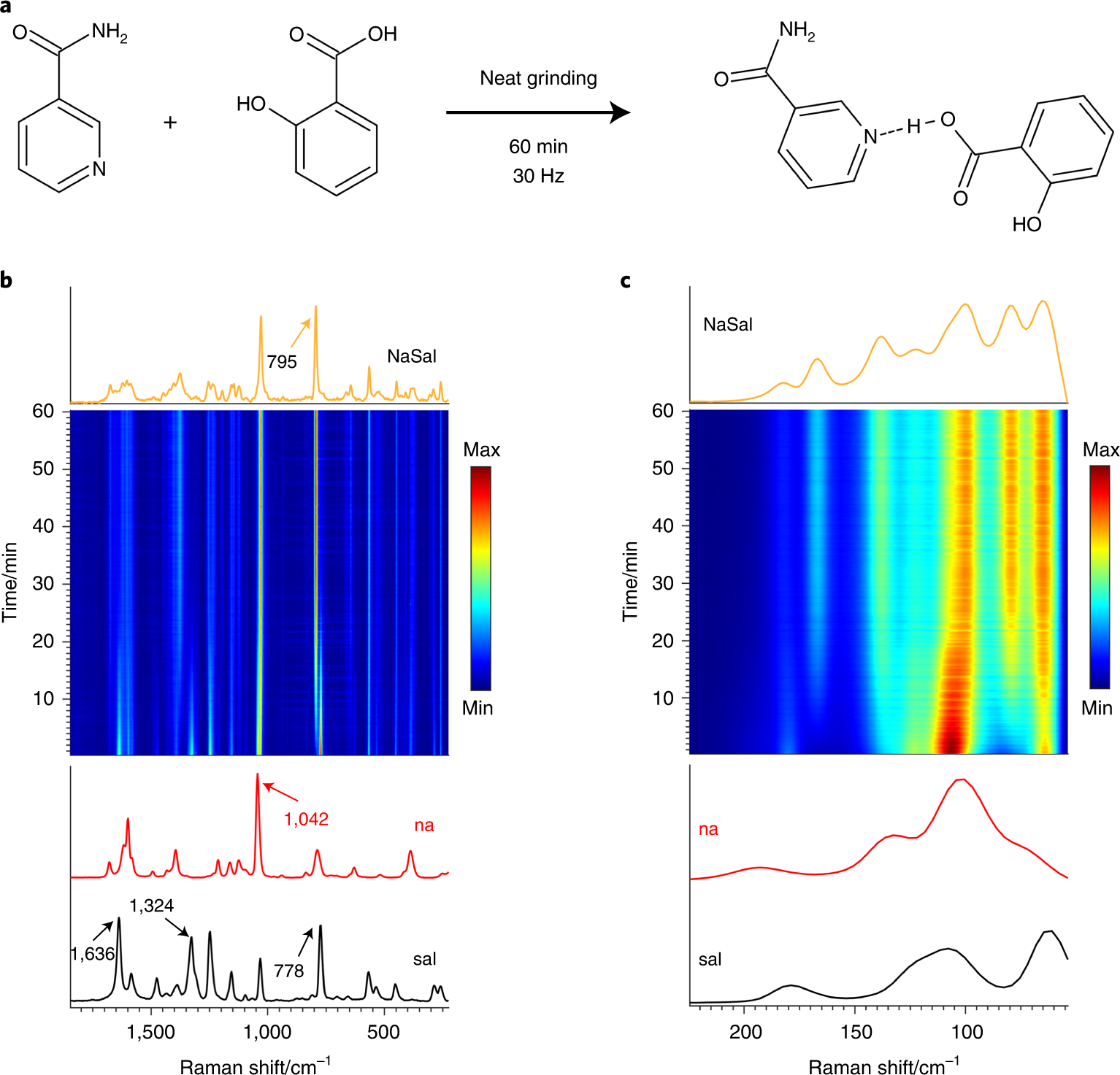 Raman spectroscopy for real-time and in