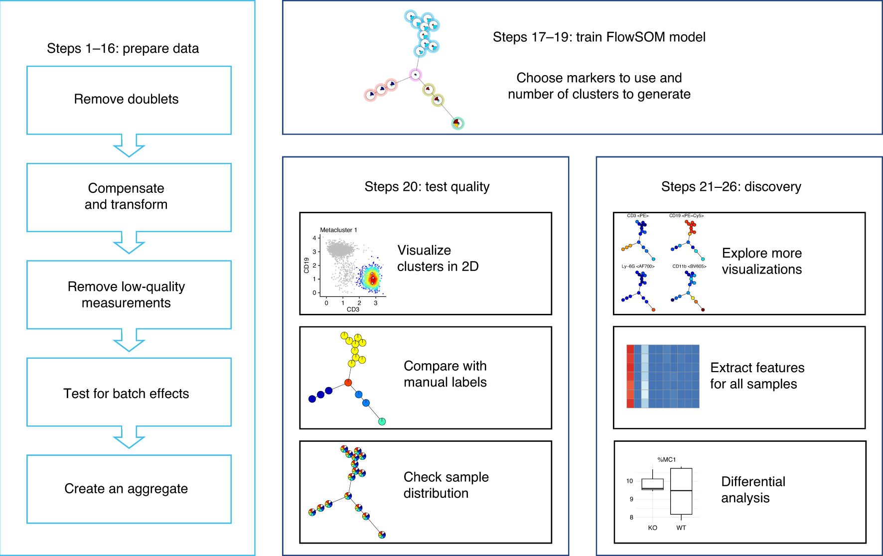 Analyzing high-dimensional cytometry data using FlowSOM | Nature Protocols