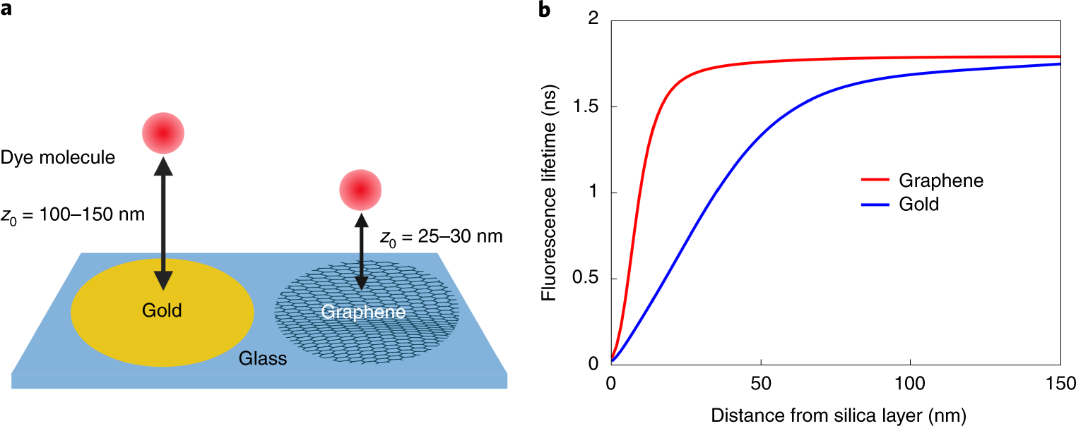 Graphene- and metal-induced energy transfer for single-molecule imaging and  live-cell nanoscopy with (sub)-nanometer axial resolution | Nature Protocols