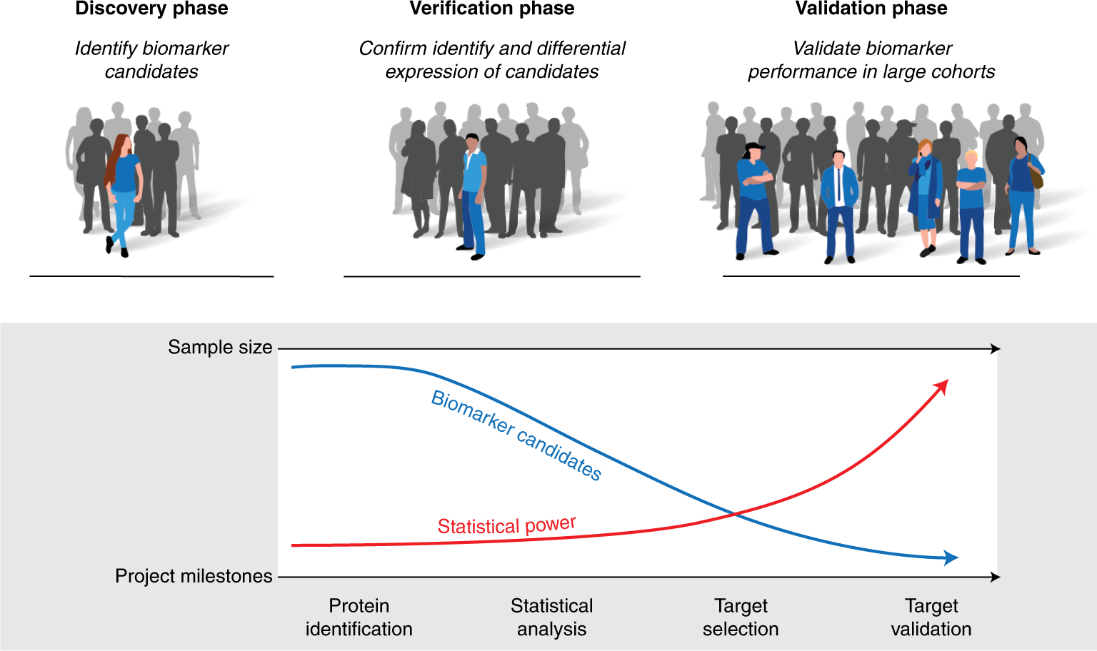 Tutorial: best practices and considerations for mass-spectrometry-based  protein biomarker discovery and validation | Nature Protocols