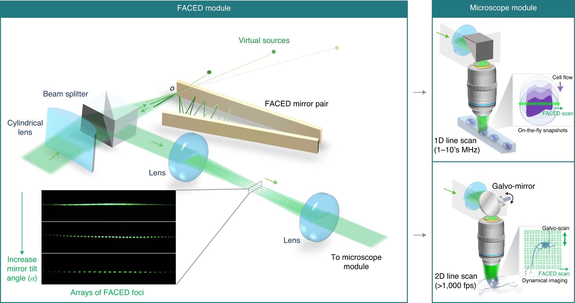 High-speed laser-scanning biological microscopy using FACED