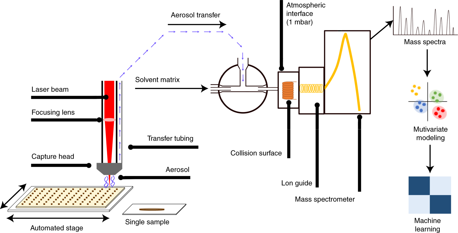 Rapid ex vivo molecular fingerprinting of biofluids laser-assisted rapid evaporative ionization mass spectrometry | Nature Protocols