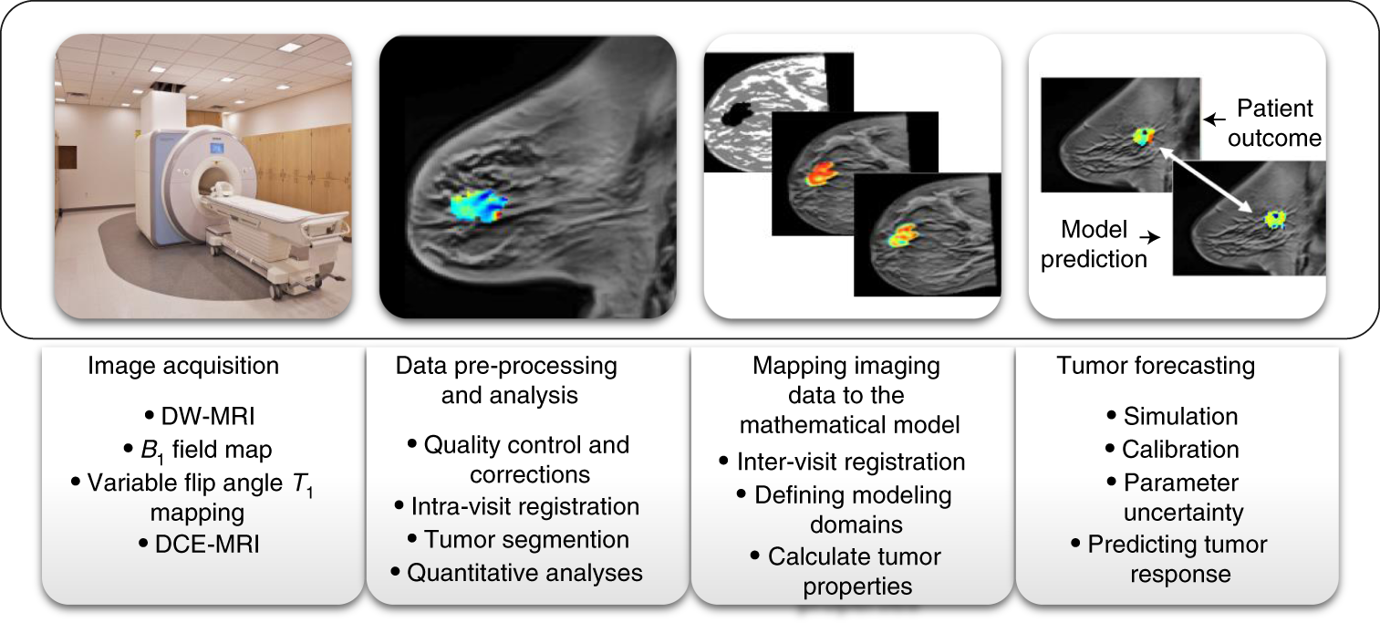 Eur J Breast Health on X: Accurate Estimation of Breast Tumor