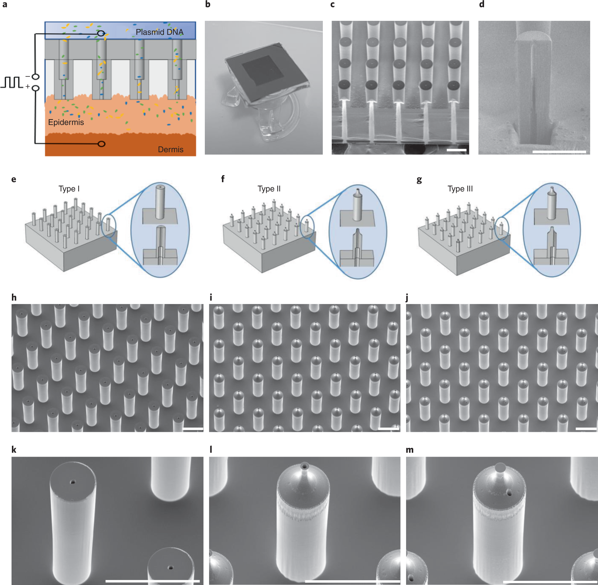 Fabrication and use of silicon hollow-needle arrays to achieve tissue  nanotransfection in mouse tissue in vivo