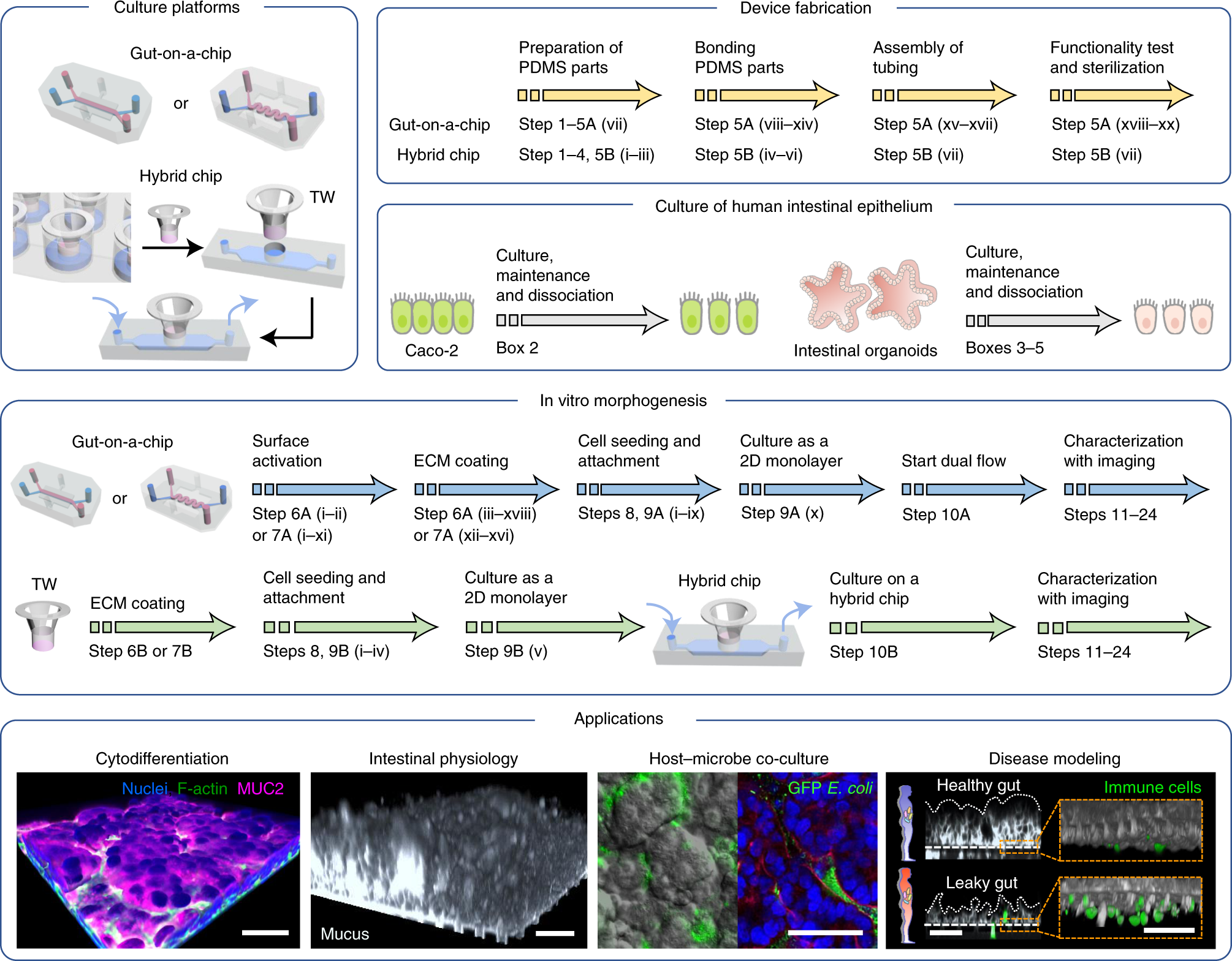 https://media.springernature.com/full/springer-static/image/art%3A10.1038%2Fs41596-021-00674-3/MediaObjects/41596_2021_674_Fig1_HTML.png