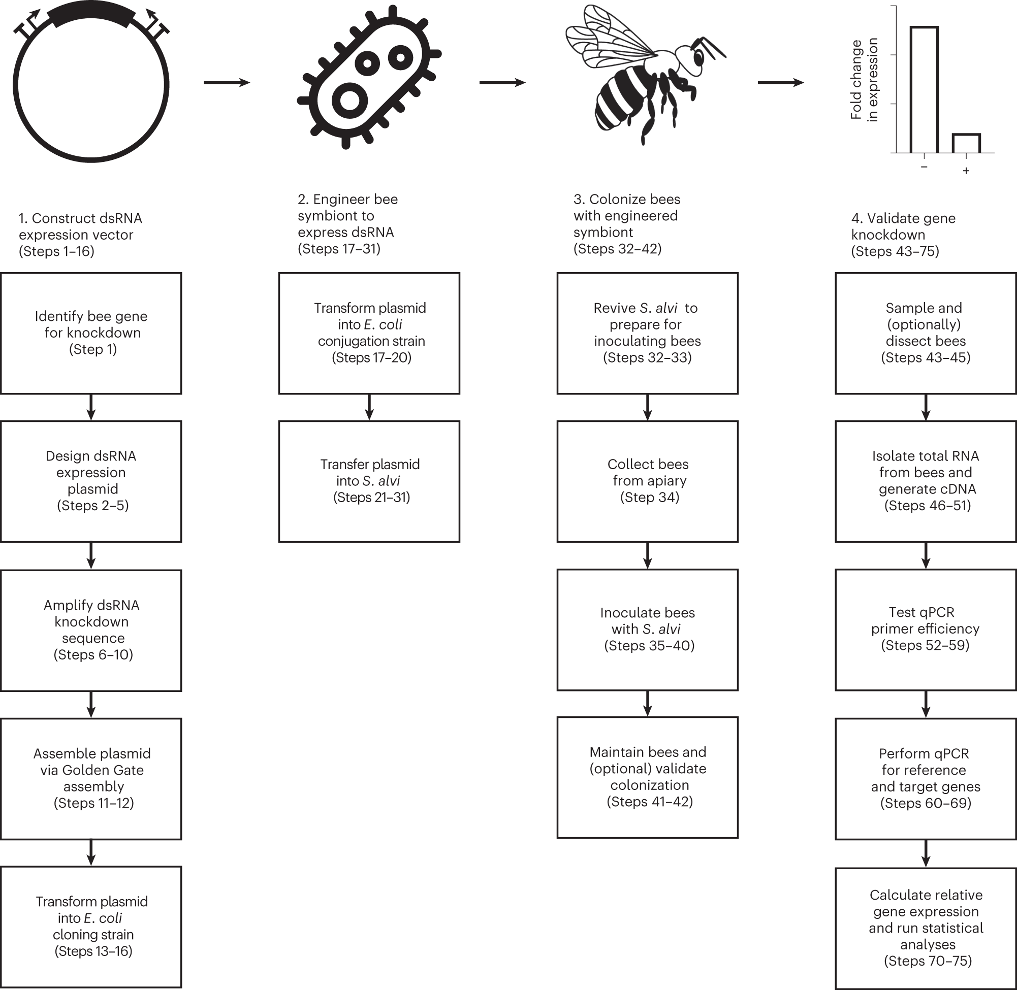 Honeybee-based SARS-CoV-2 diagnostics