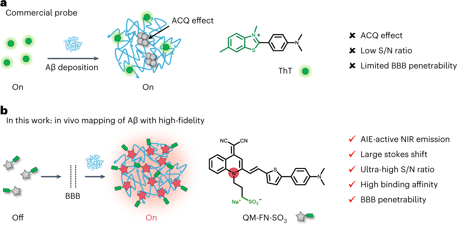 Preparation of near-infrared AIEgen-active fluorescent probes for mapping amyloid-β plaques in brain tissues and living mice | Nature Protocols Preparation of near-infrared AIEgen-active fluorescent probes for mapping amyloid-β plaques in brain tissues and living mice | Nature Protocols