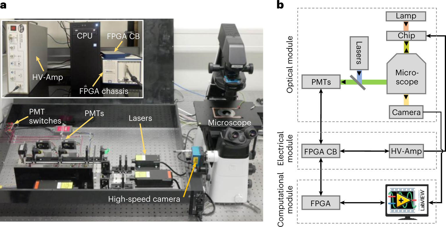 Air bubbles and microfluidics, how to deal with it - Elveflow