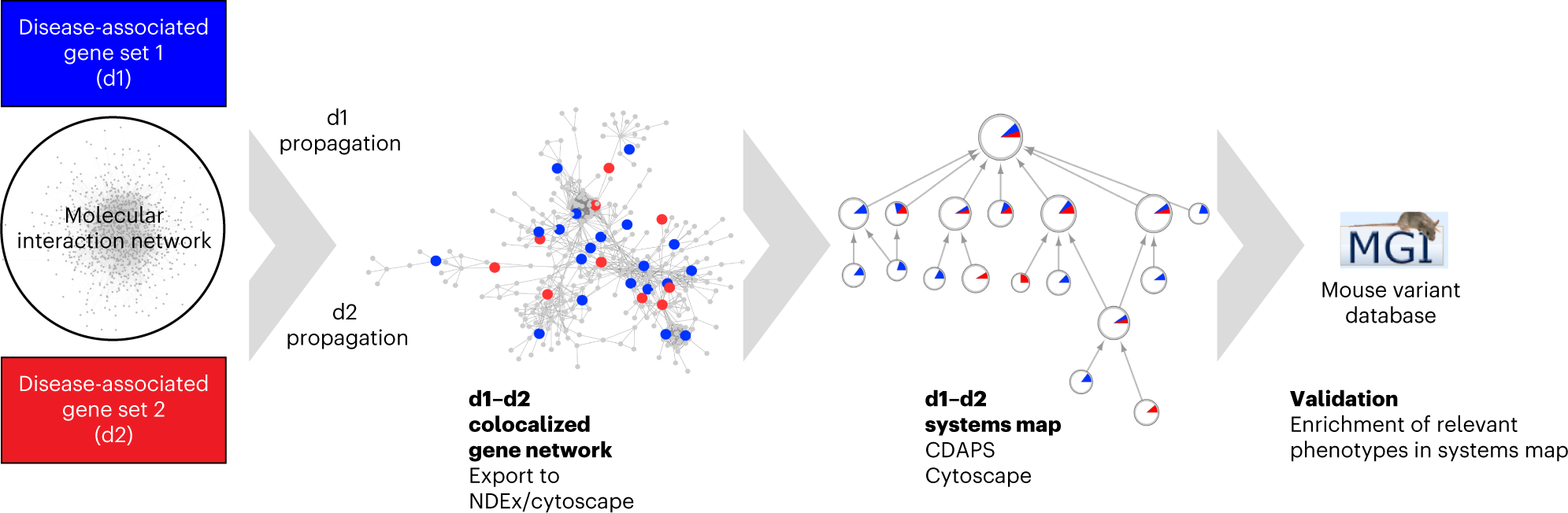 A network-guided protocol to discover susceptibility genes in