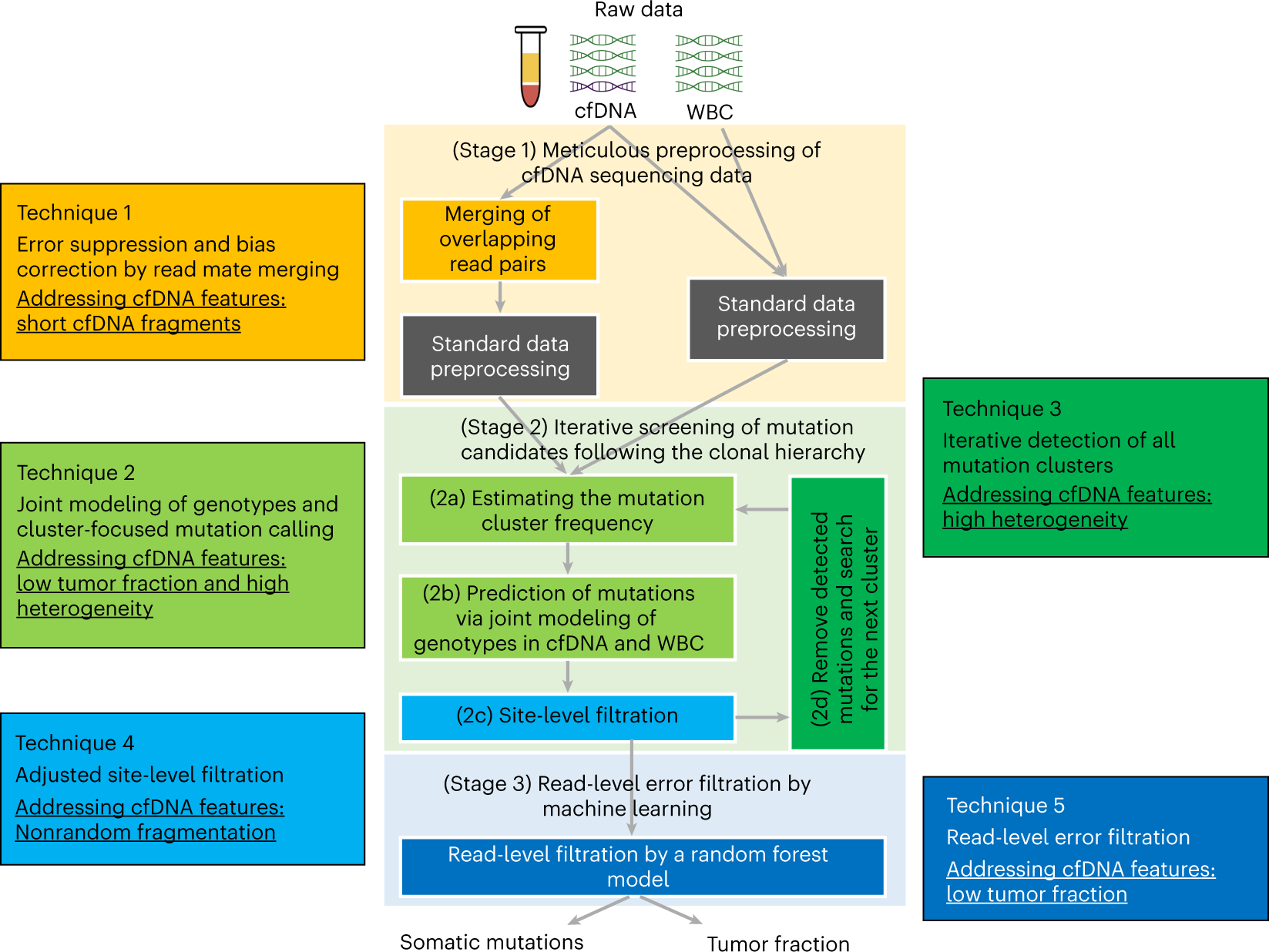 cfSNV: a software tool for the sensitive detection of somatic mutations  from cell-free DNA | Nature Protocols