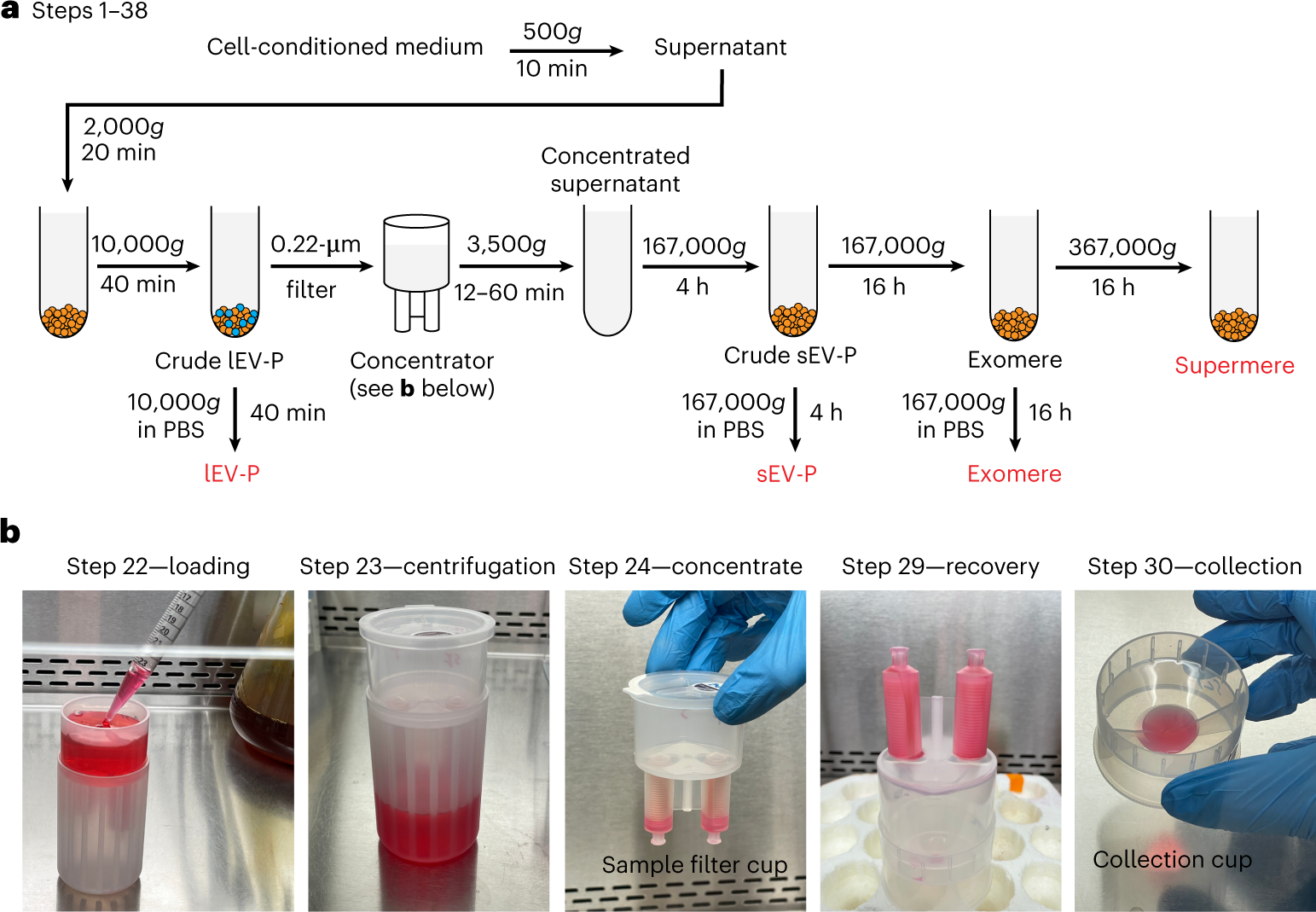 Vos Mixing Cup - Mix & Match