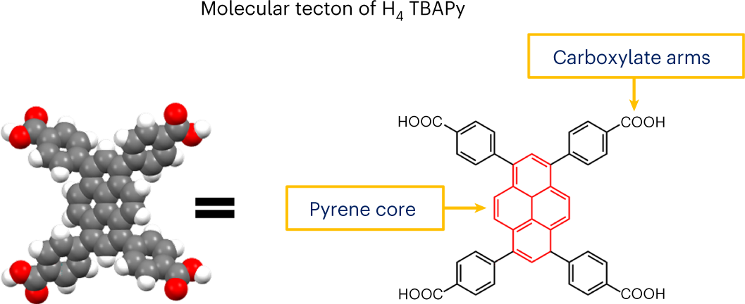 https://media.springernature.com/full/springer-static/image/art%3A10.1038%2Fs41596-023-00828-5/MediaObjects/41596_2023_828_Fig1_HTML.png