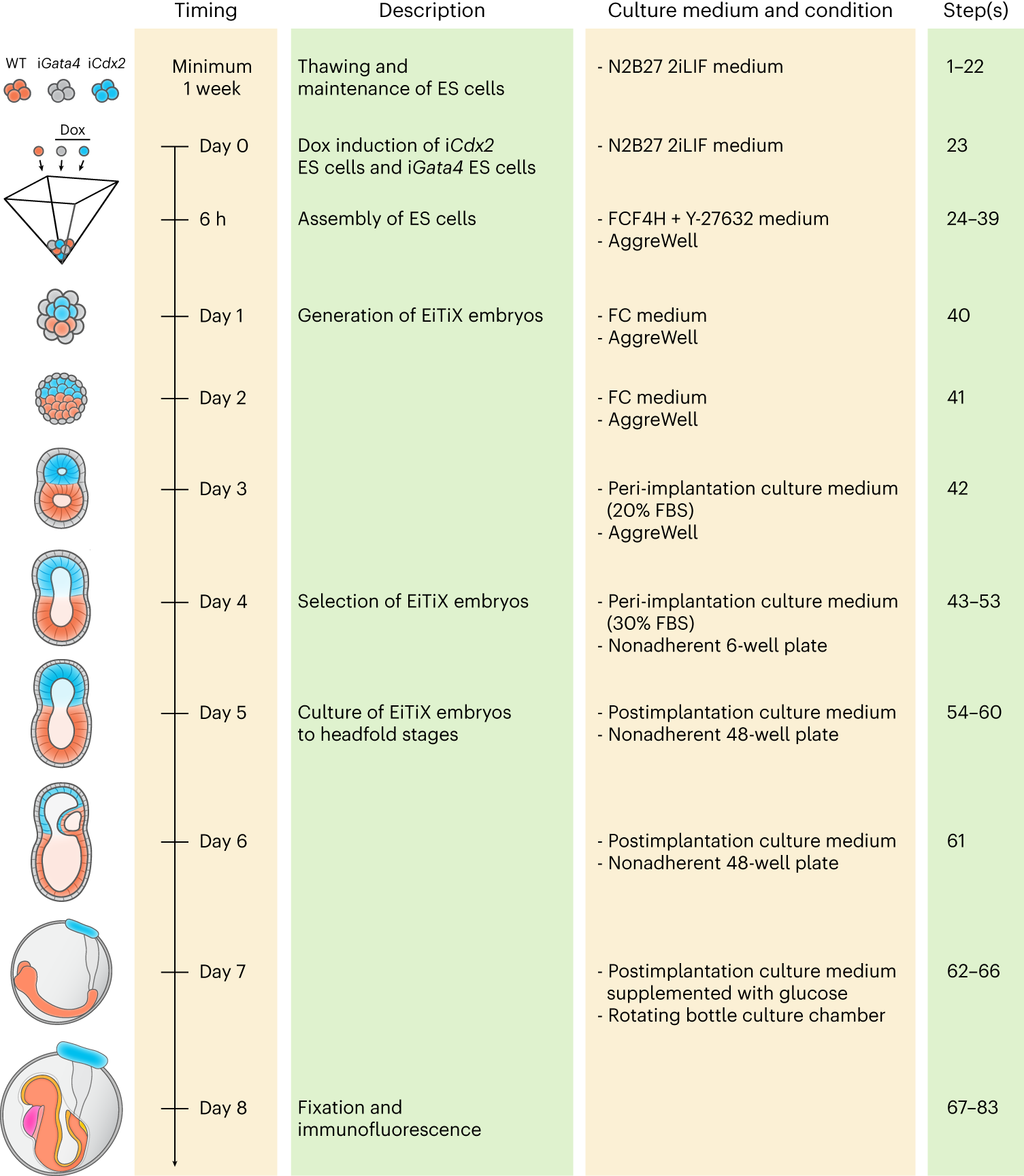 Assembly of complete mouse embryo models from embryonic and induced stem cell types in vitro