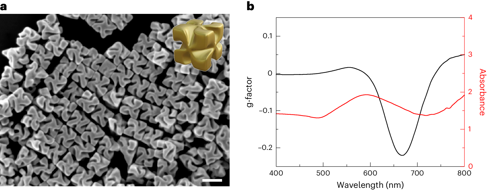 Synthesis of chiral gold helicoid nanoparticles using glutathione