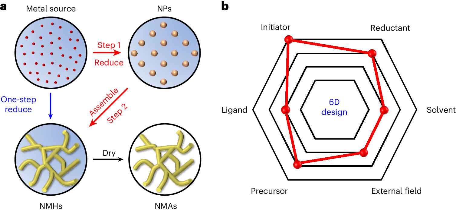 Controlled synthesis of noble metal aerogels mediated by salts | Nature  Protocols
