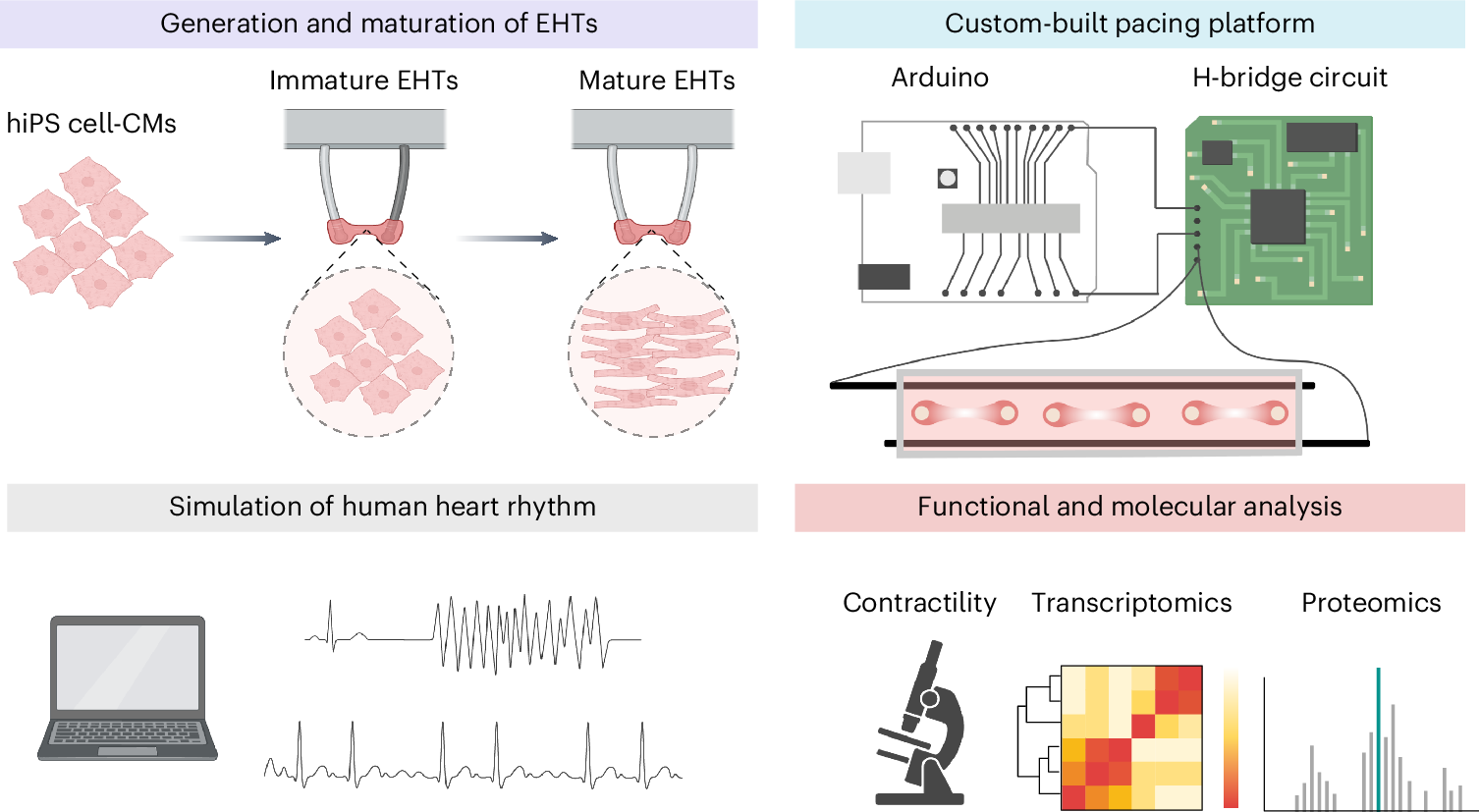 Does Cartman 36 Cordless Drill Bit Equal 3 16? Expert Review