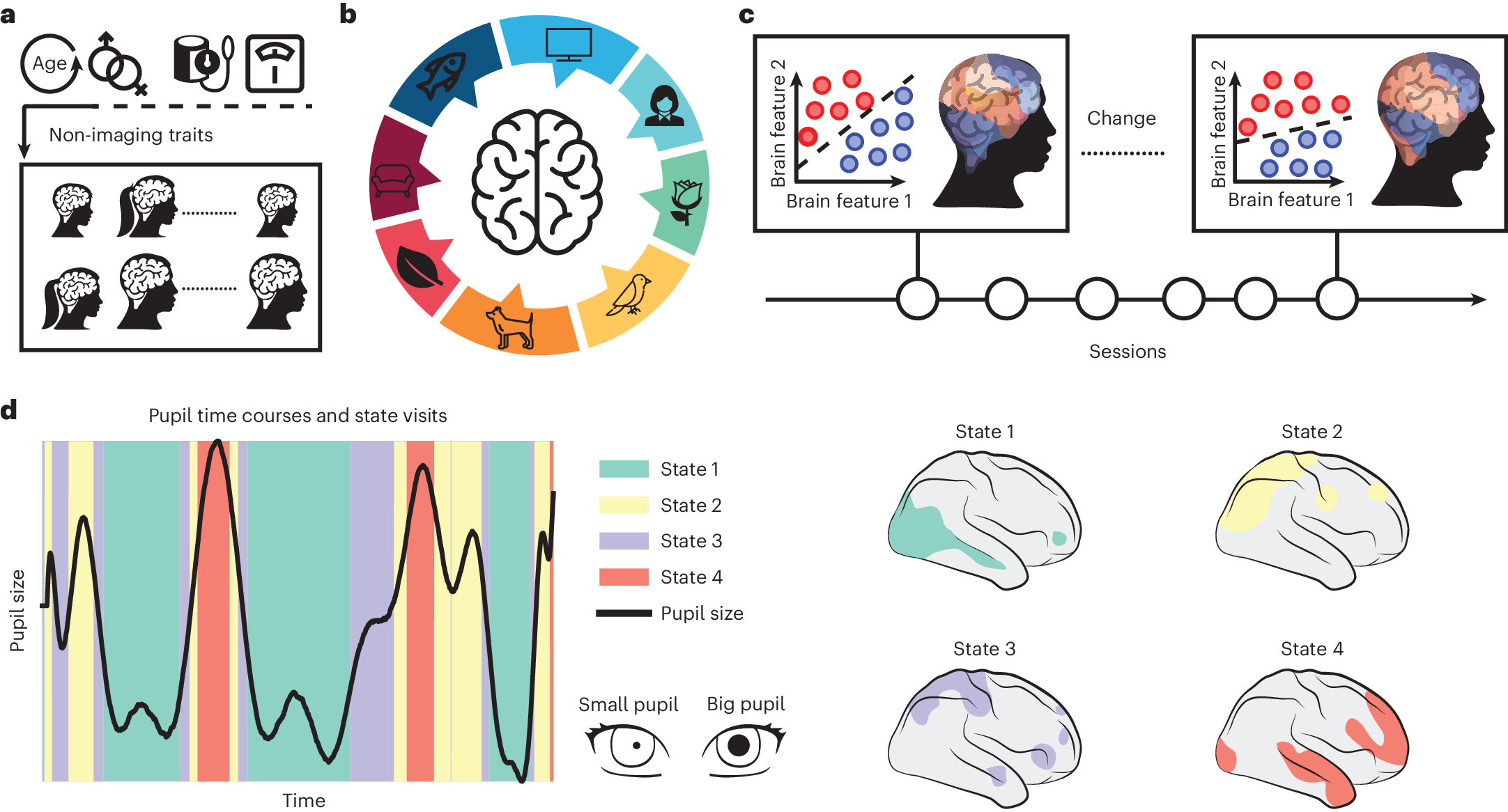A comprehensive framework for statistical testing of brain dynamics |  Nature Protocols