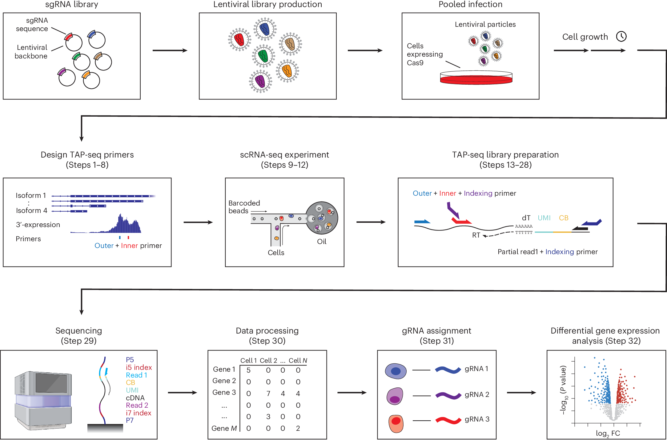 Fig. 1: TAP-seq workflow.