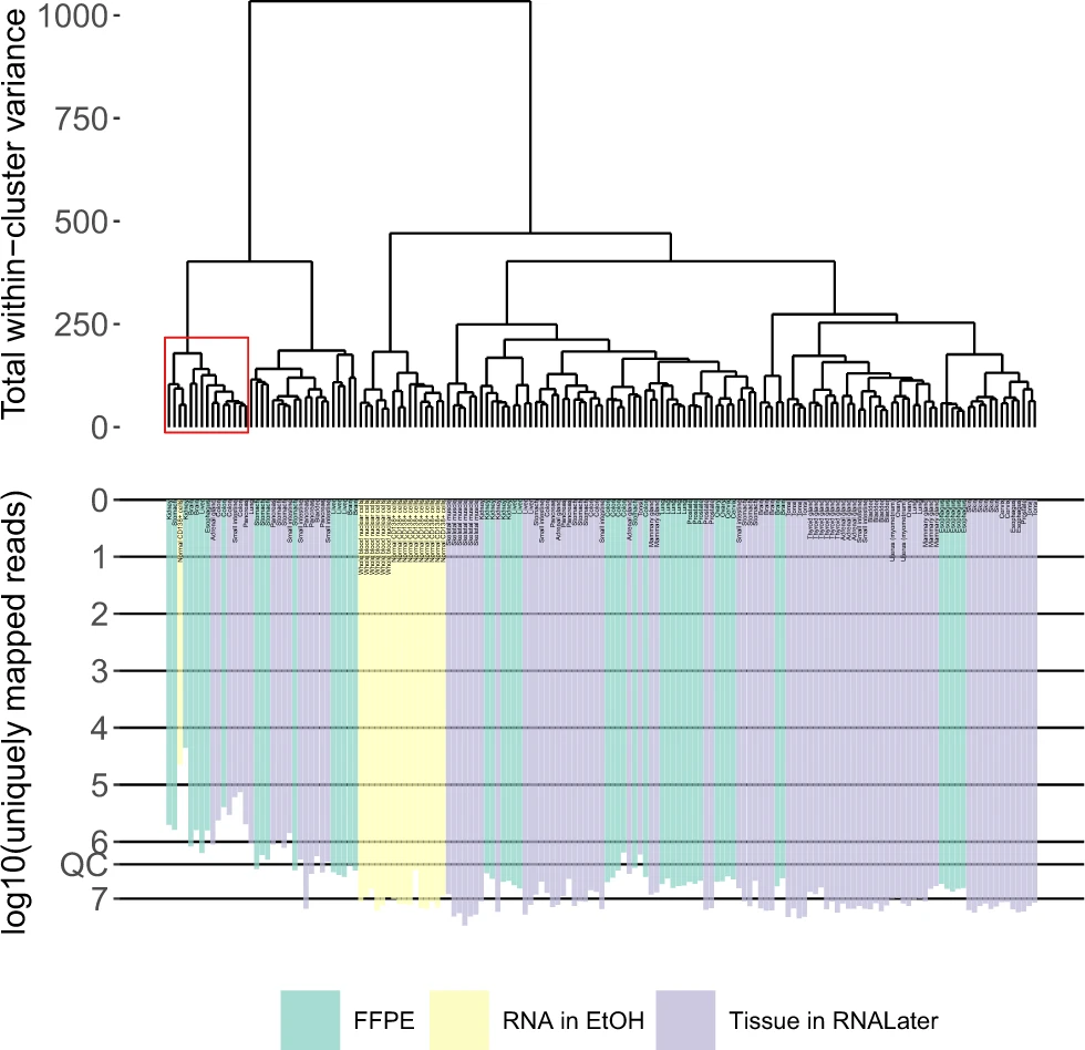 rna-seq