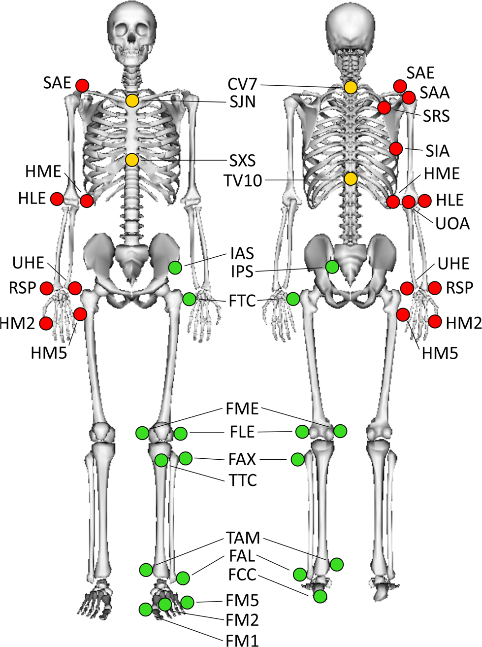 A Multimodal Dataset Of Human Gait At Different Walking Speeds