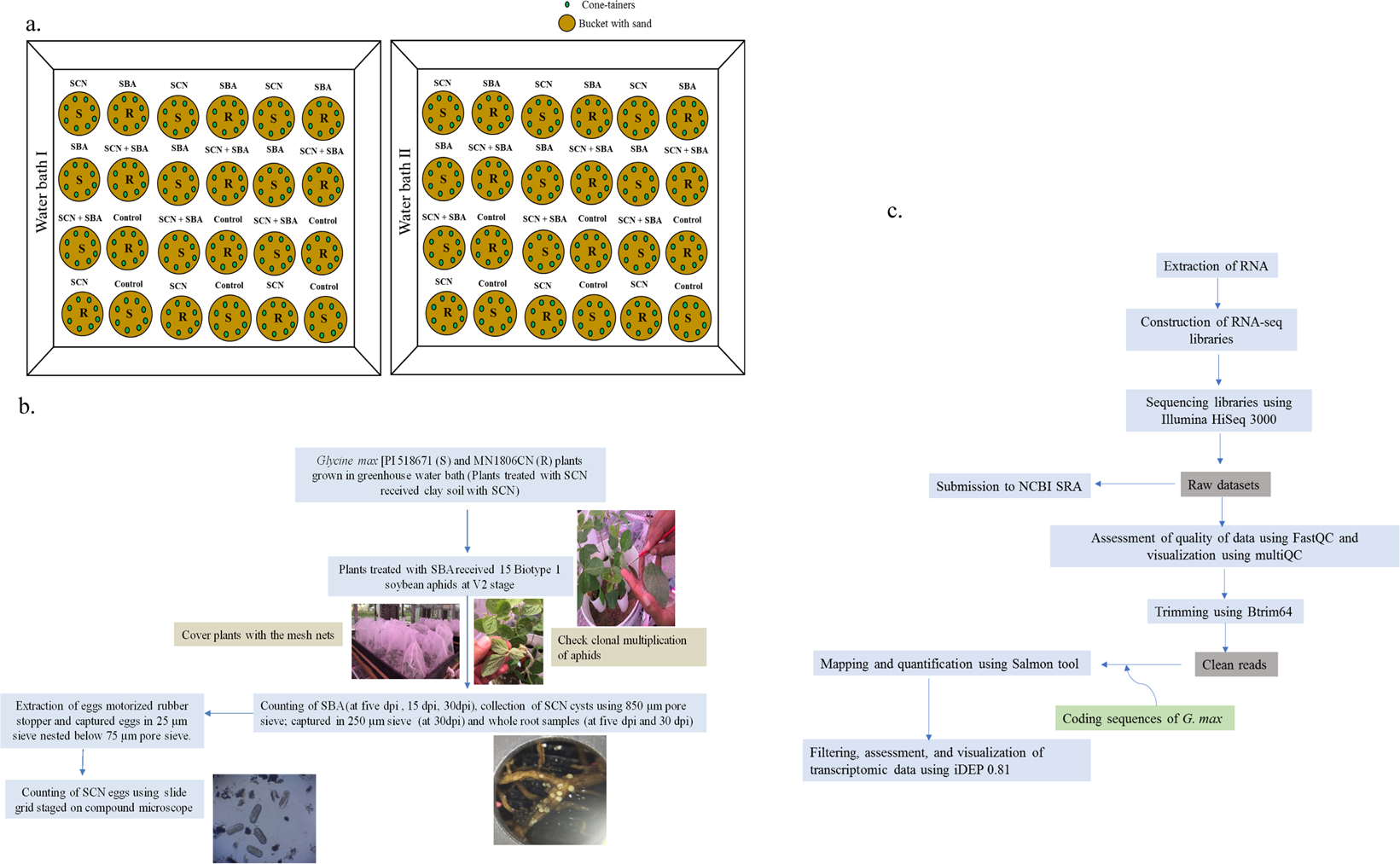 Sba Environmental Flow Chart