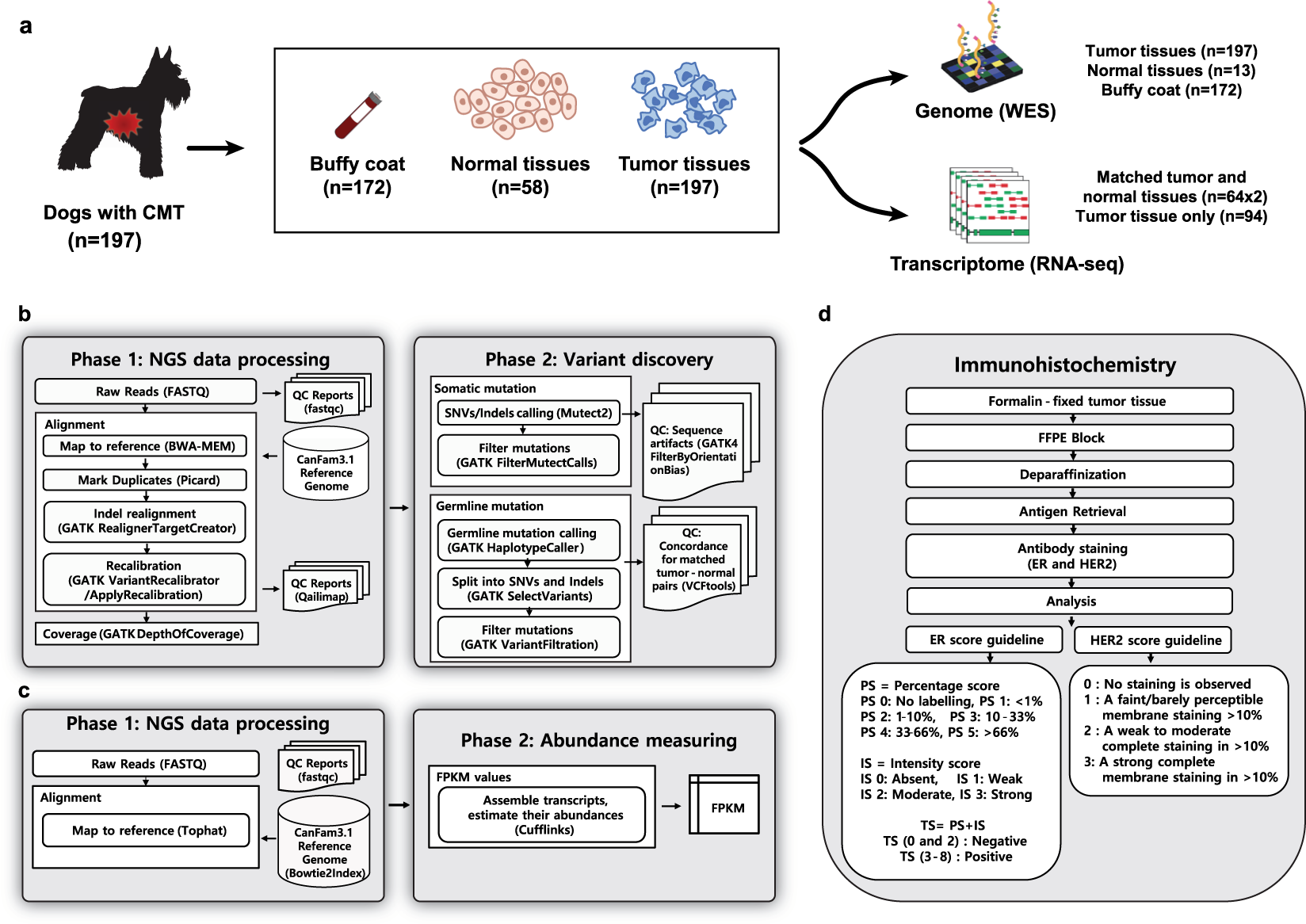 Whole-exome and whole-transcriptome sequencing of canine mammary gland  tumors | Scientific Data