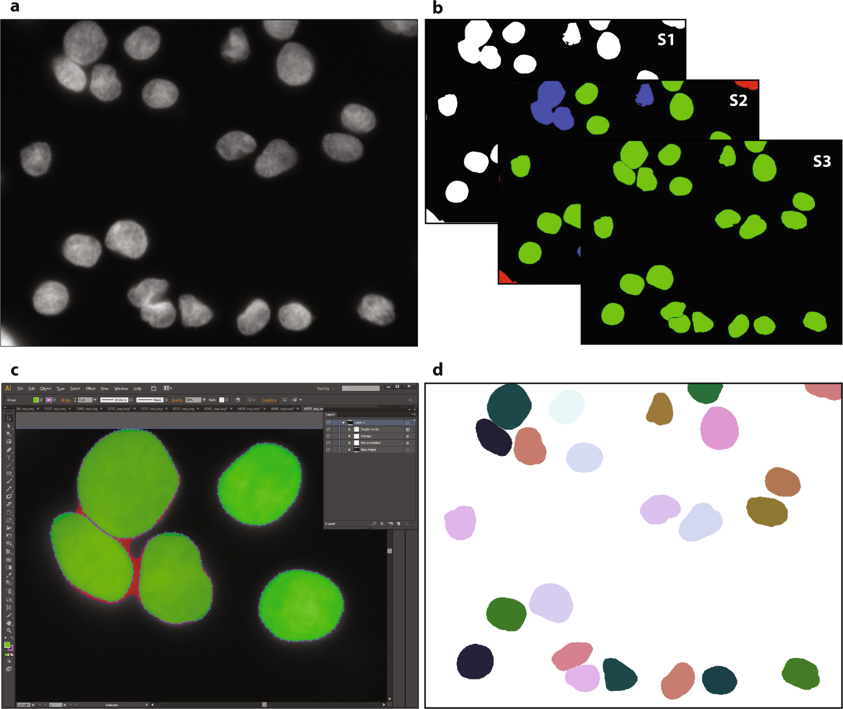 An annotated fluorescence image dataset for training nuclear segmentation  methods | Scientific Data