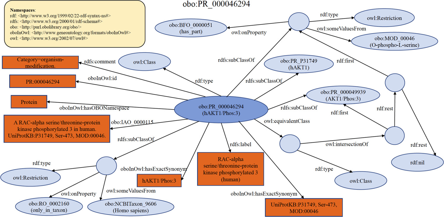 Protein ontology on the semantic web for knowledge discovery | Scientific  Data