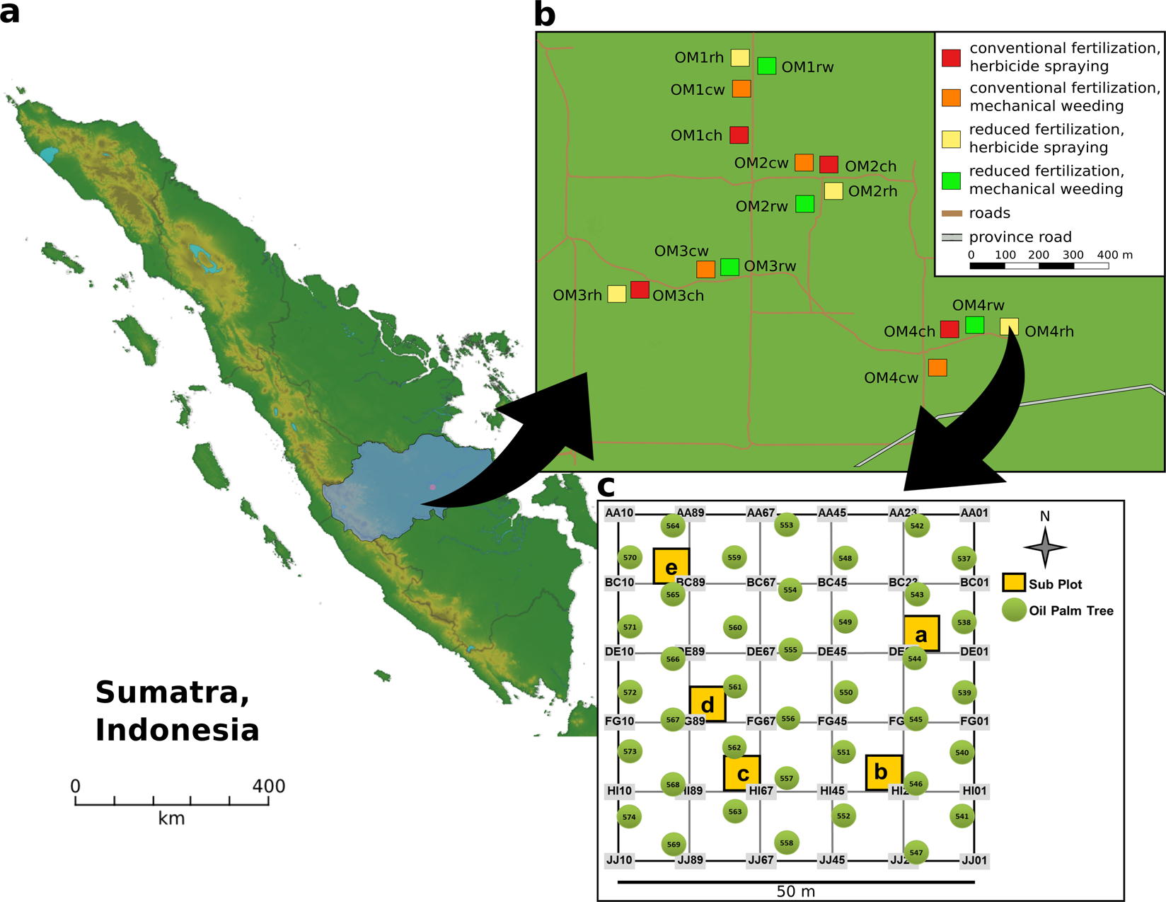 Soil bacterial community structures in relation to different oil palm  management practices | Scientific Data