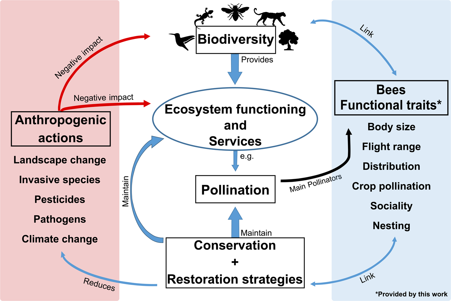 III. Benefits of Beekeeping for Ecological Restoration