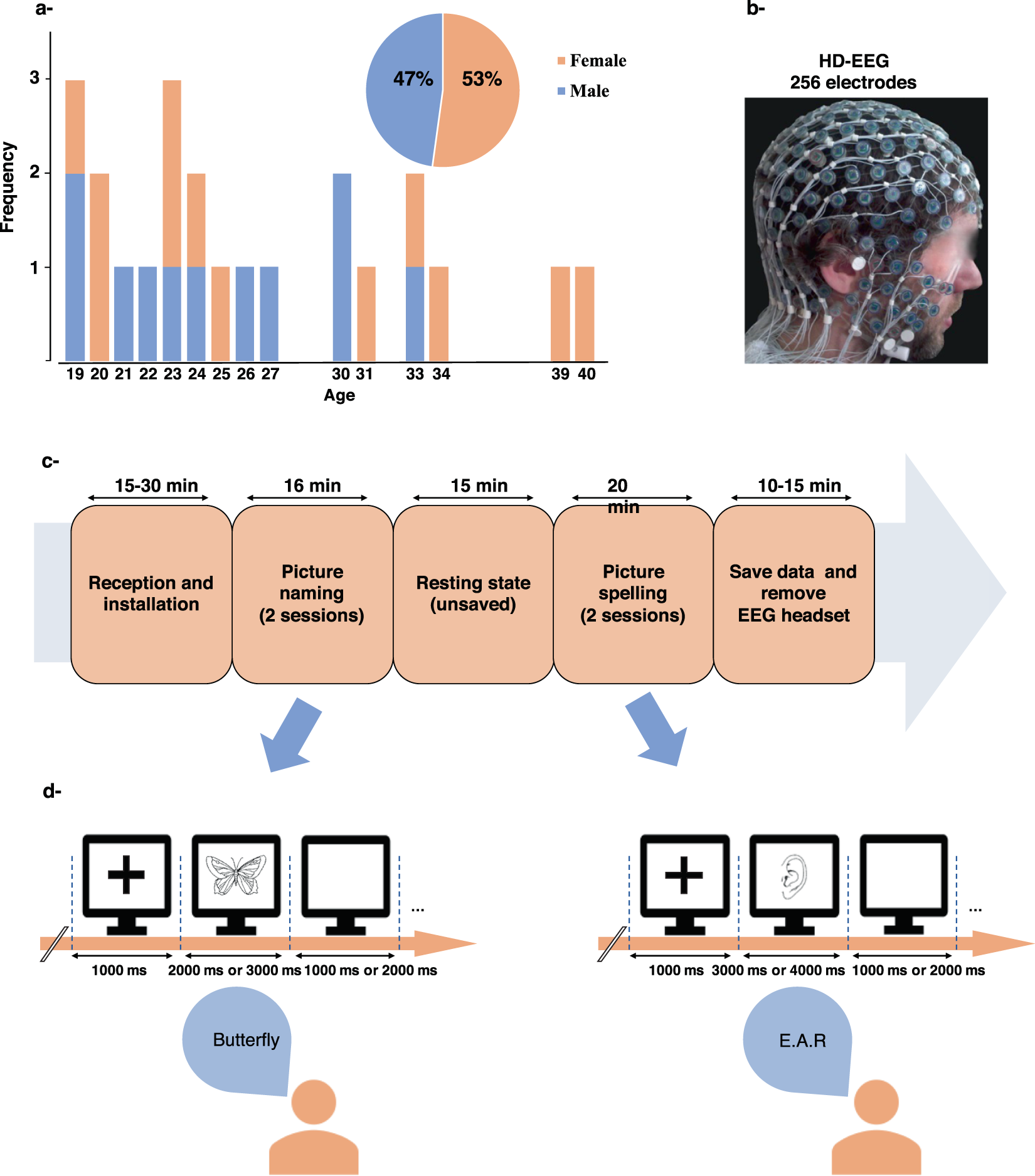 Hd Eeg For Tracking Sub Second Brain Dynamics During Cognitive Tasks Scientific Data
