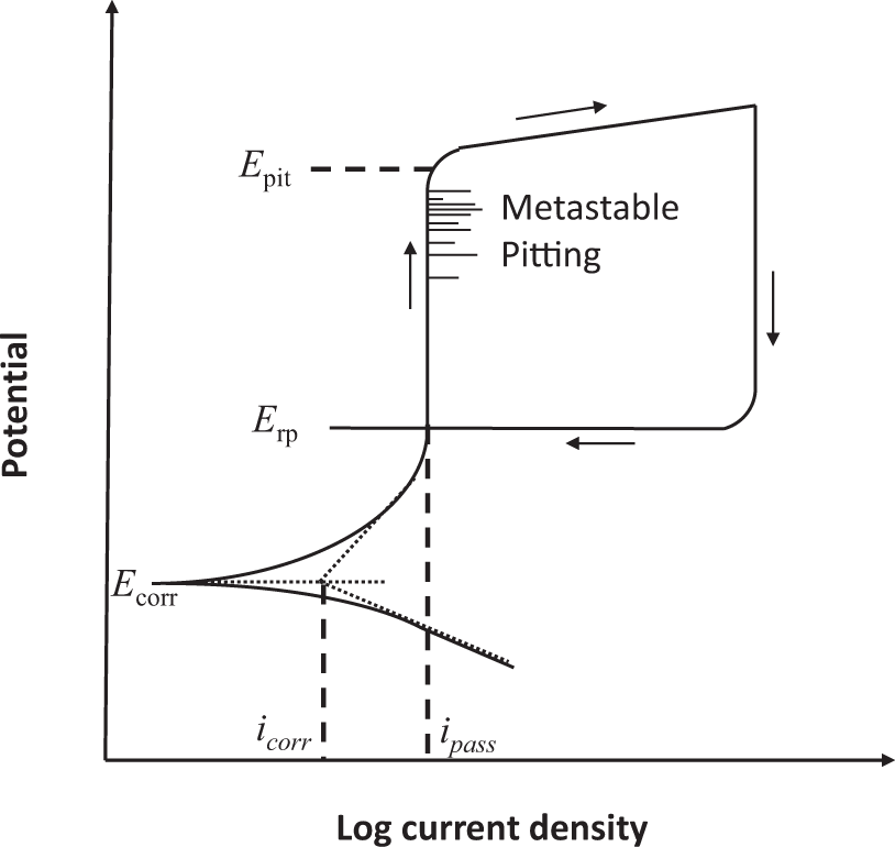 Frontiers  Research Progress on the Corrosive Environment Large