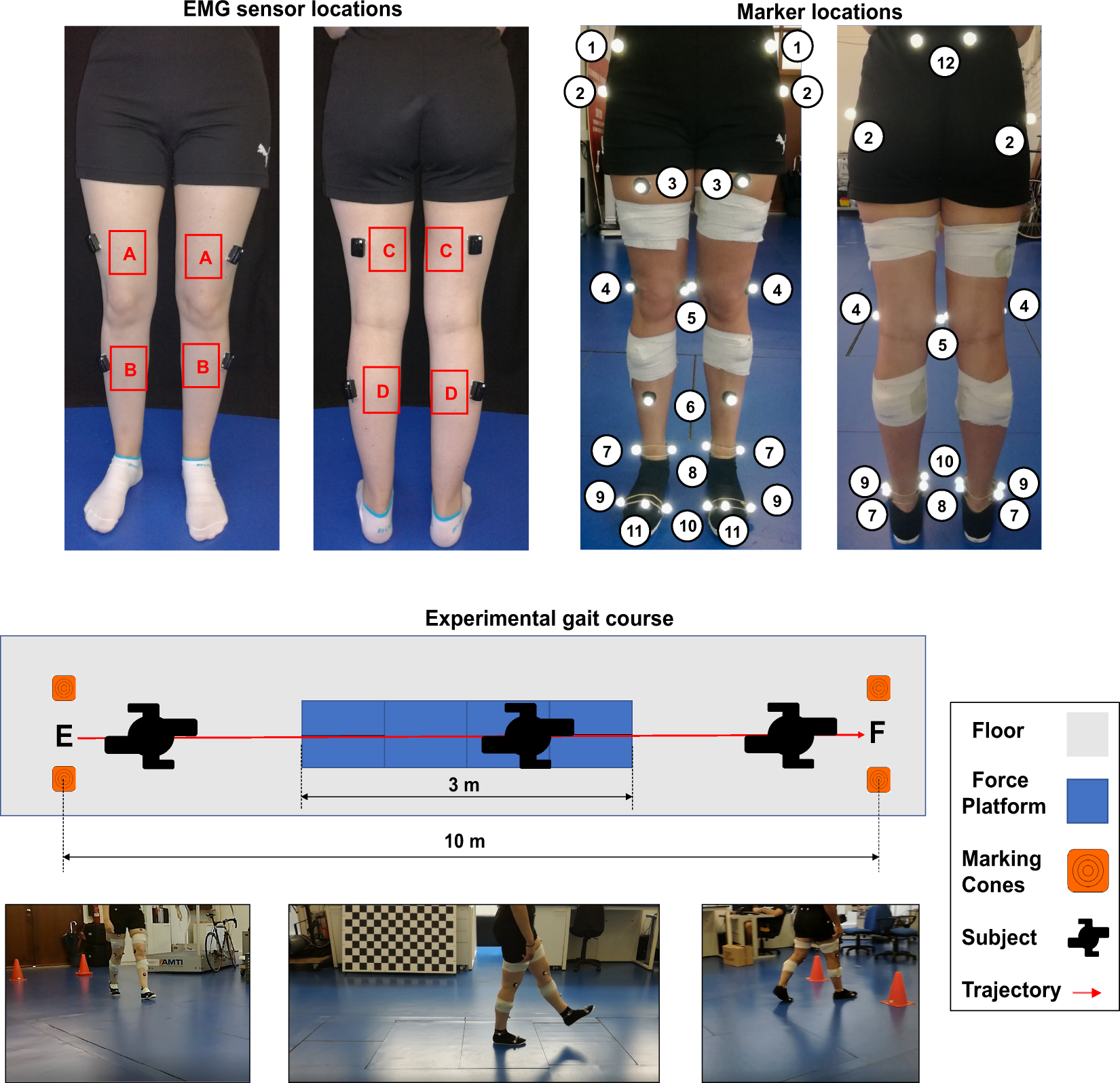 Probe position and normal images obtained during E-FAST examination.