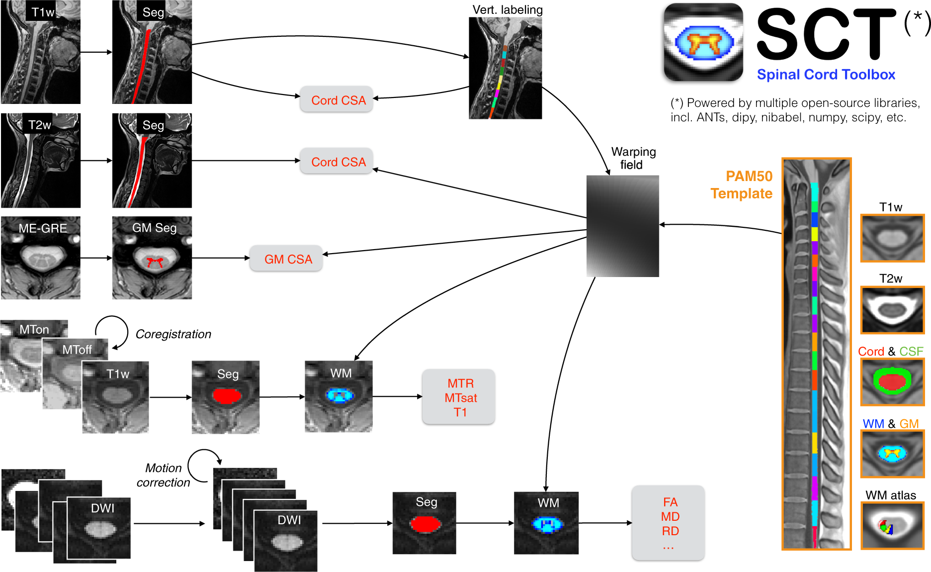 Open-access quantitative MRI data of the spinal cord and reproducibility  across participants, sites and manufacturers | Scientific Data