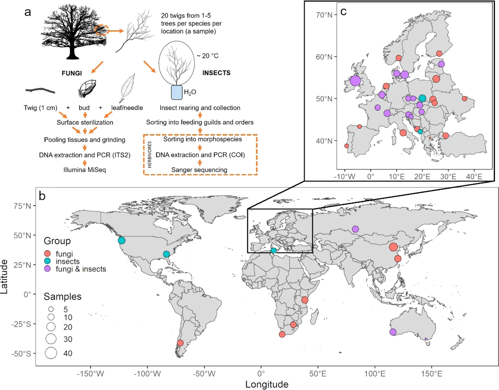 Worldwide diversity of endophytic fungi and insects associated with dormant tree twigs
