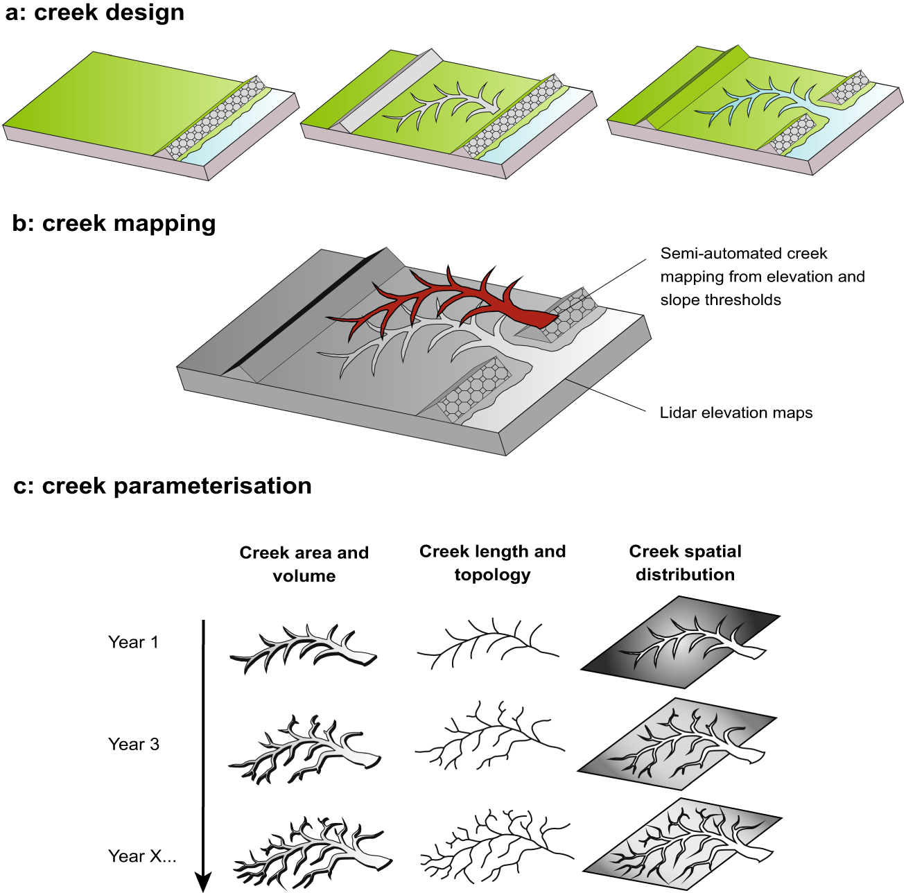 Morphological evolution of creek networks in 10 restored coastal wetlands  in the UK