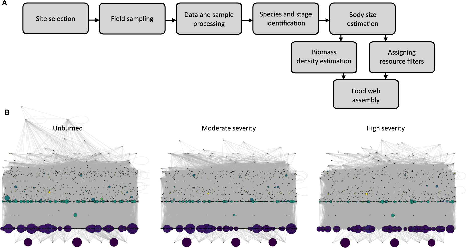 Food webs for three burn severities after wildfire in the Eldorado National  Forest, California | Scientific Data
