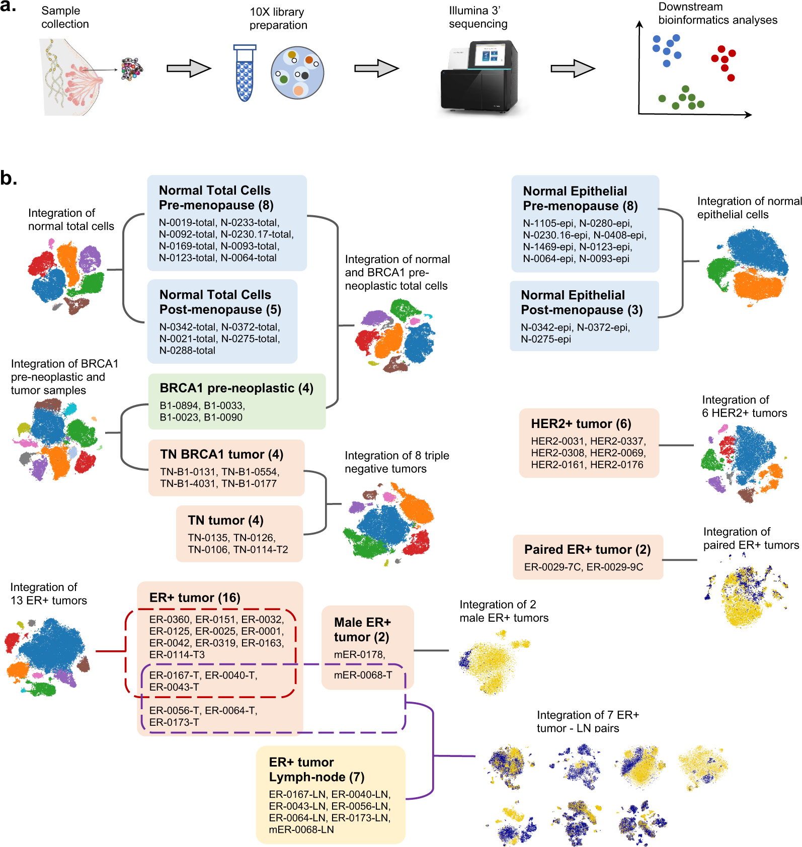 R code and downstream analysis objects for the scRNA-seq atlas of normal  and tumorigenic human breast tissue | Scientific Data